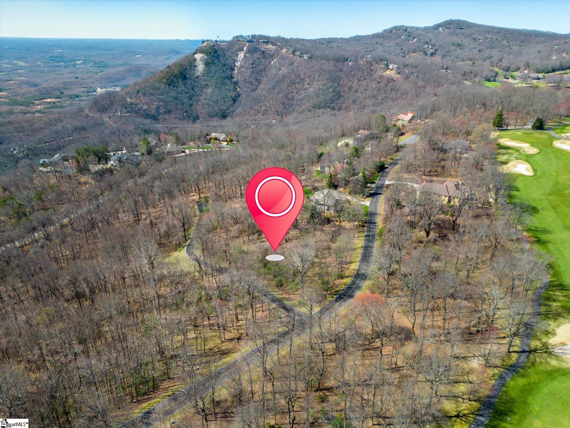 68 May Apple, Landrum, South Carolina image 6