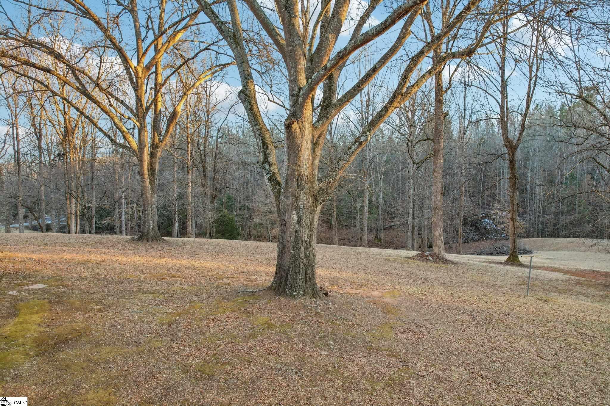 1044 Dalton, Marietta, South Carolina image 38