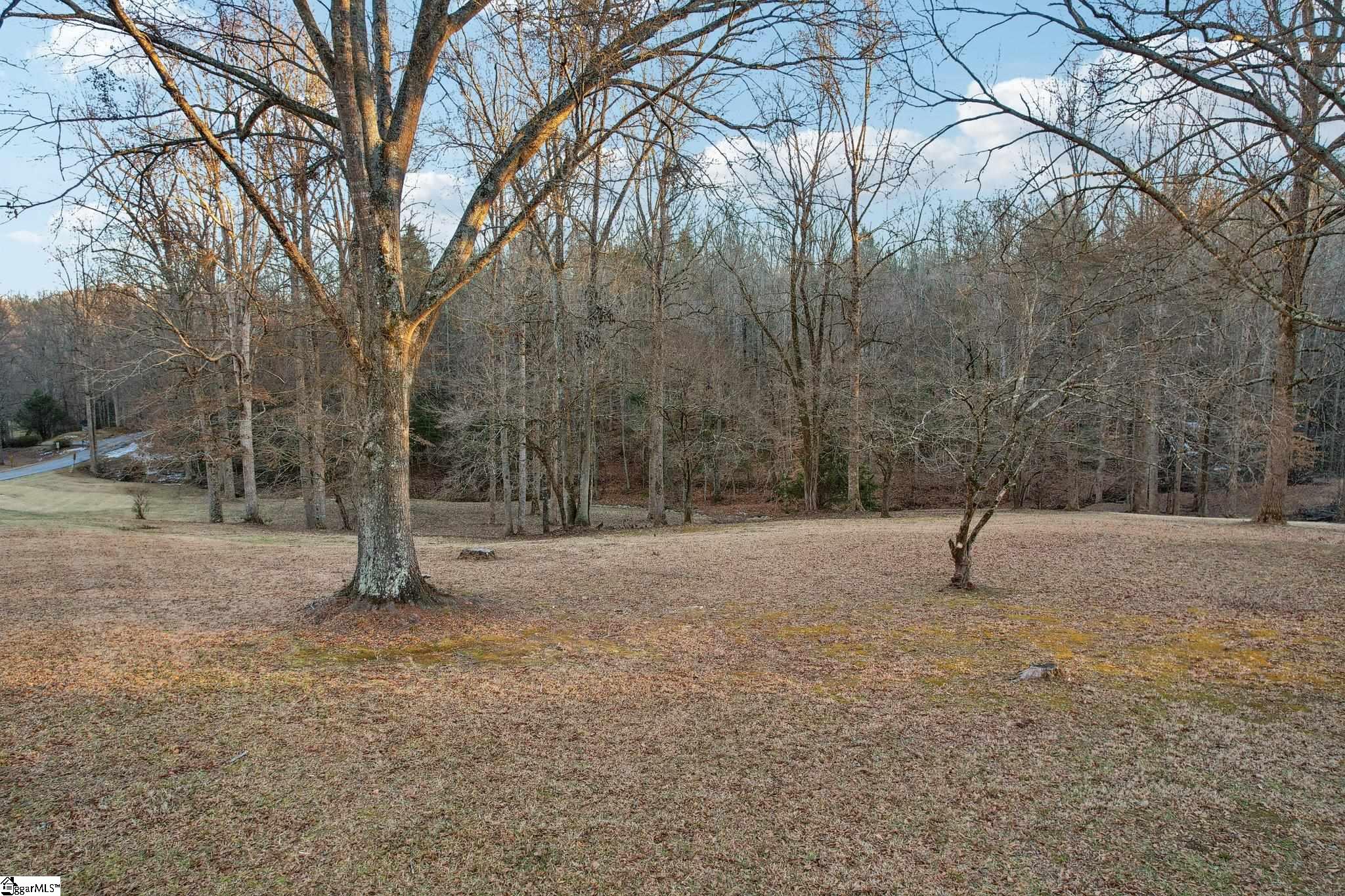 1044 Dalton, Marietta, South Carolina image 42