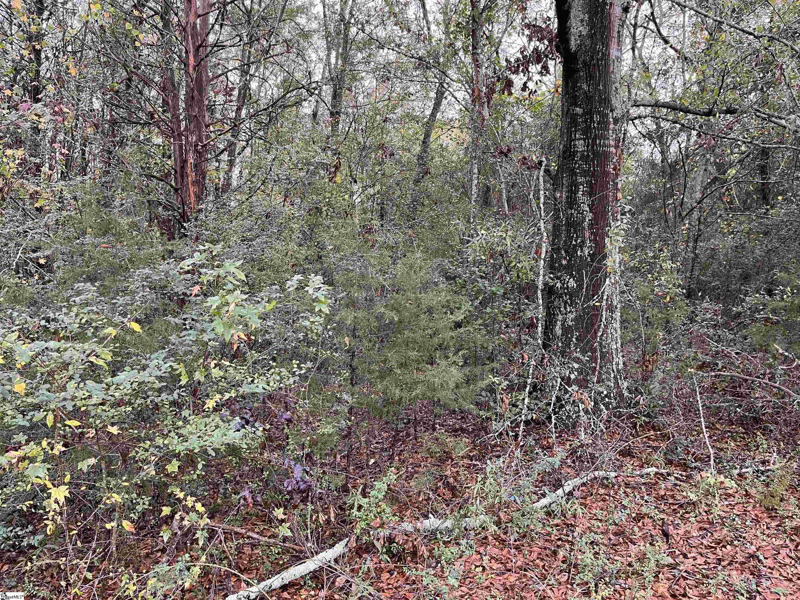 713 Evergreen Church, Starr, South Carolina image 3
