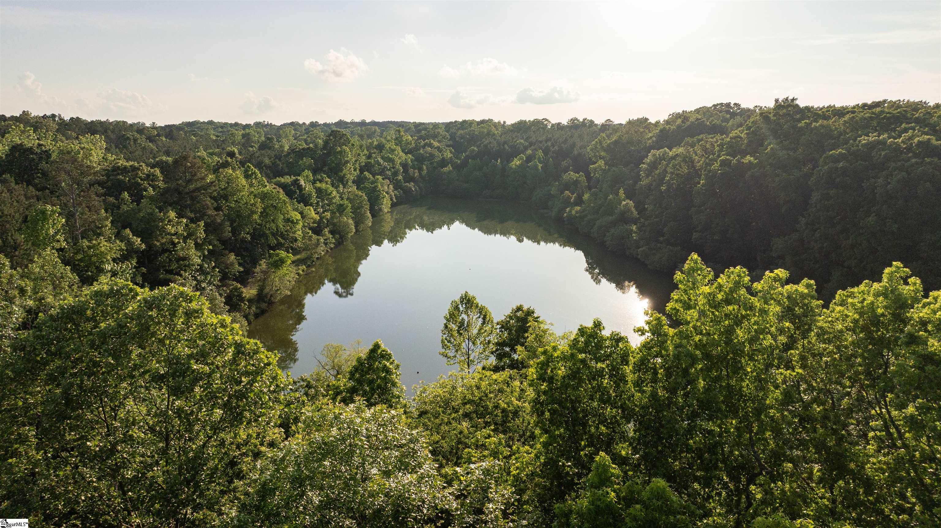 44 Hobby, Kinards, South Carolina image 13