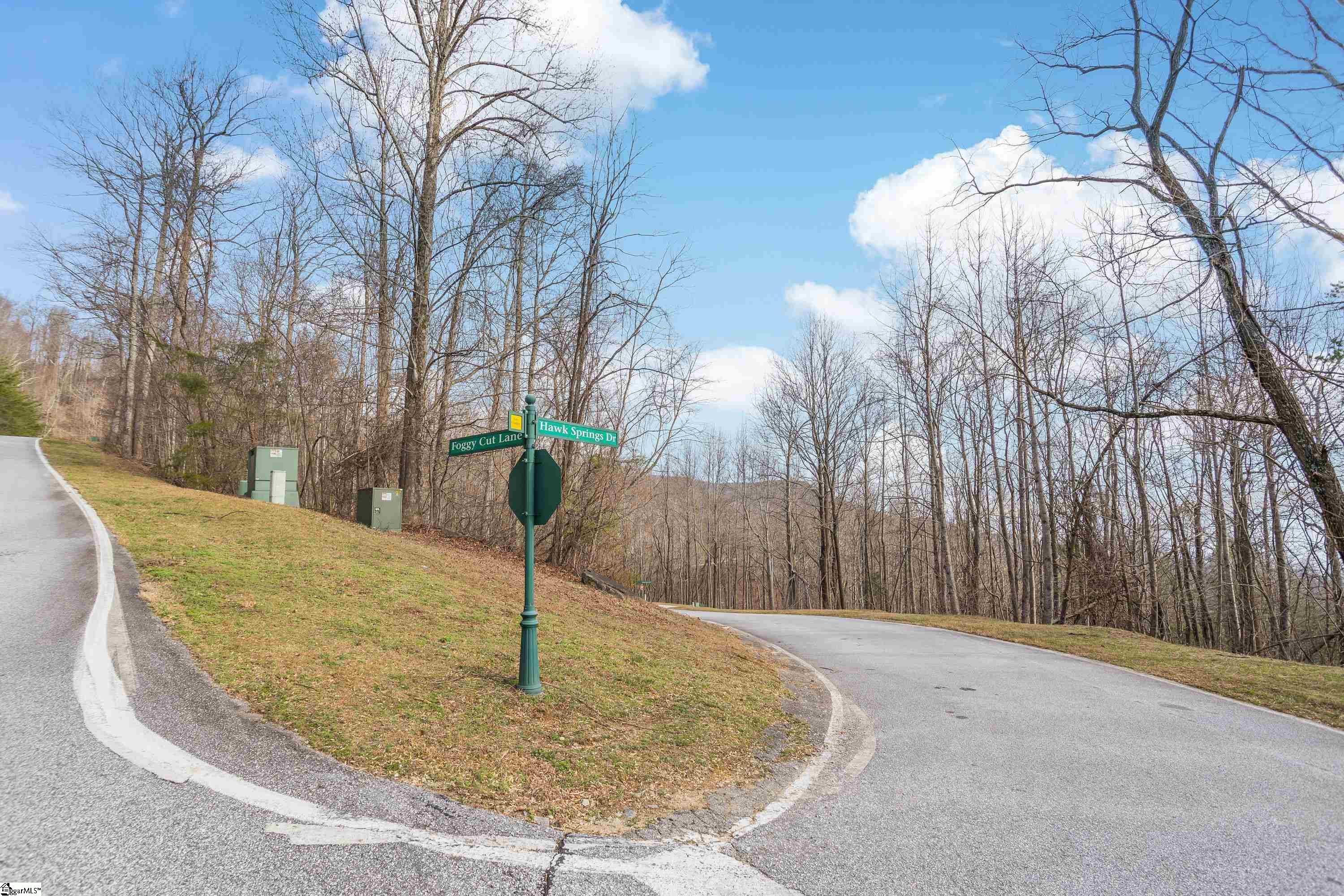 35 Foggy Cut, Landrum, South Carolina image 12