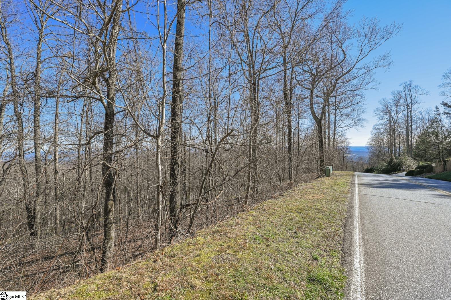 35 Foggy Cut, Landrum, South Carolina image 3