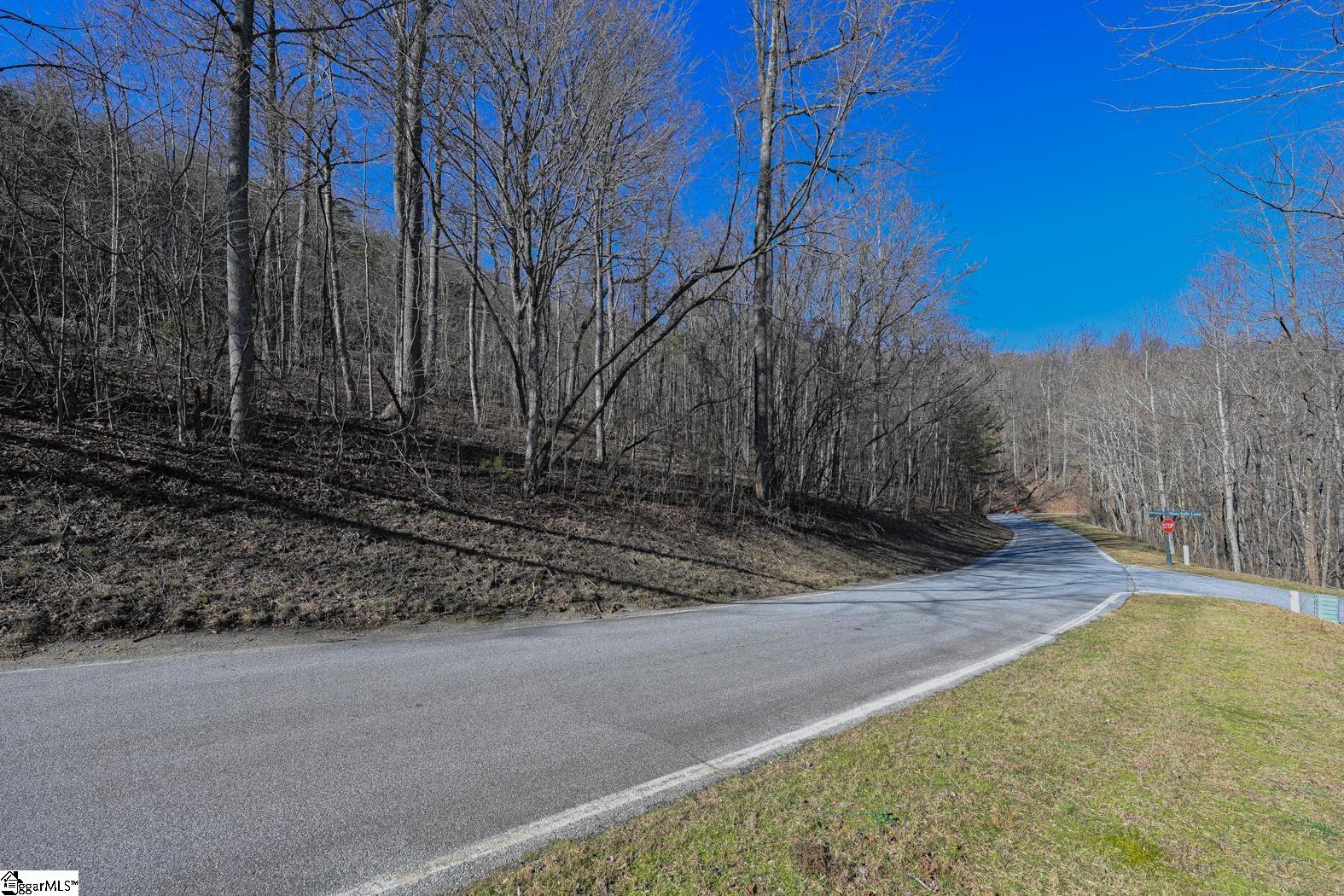 35 Foggy Cut, Landrum, South Carolina image 4