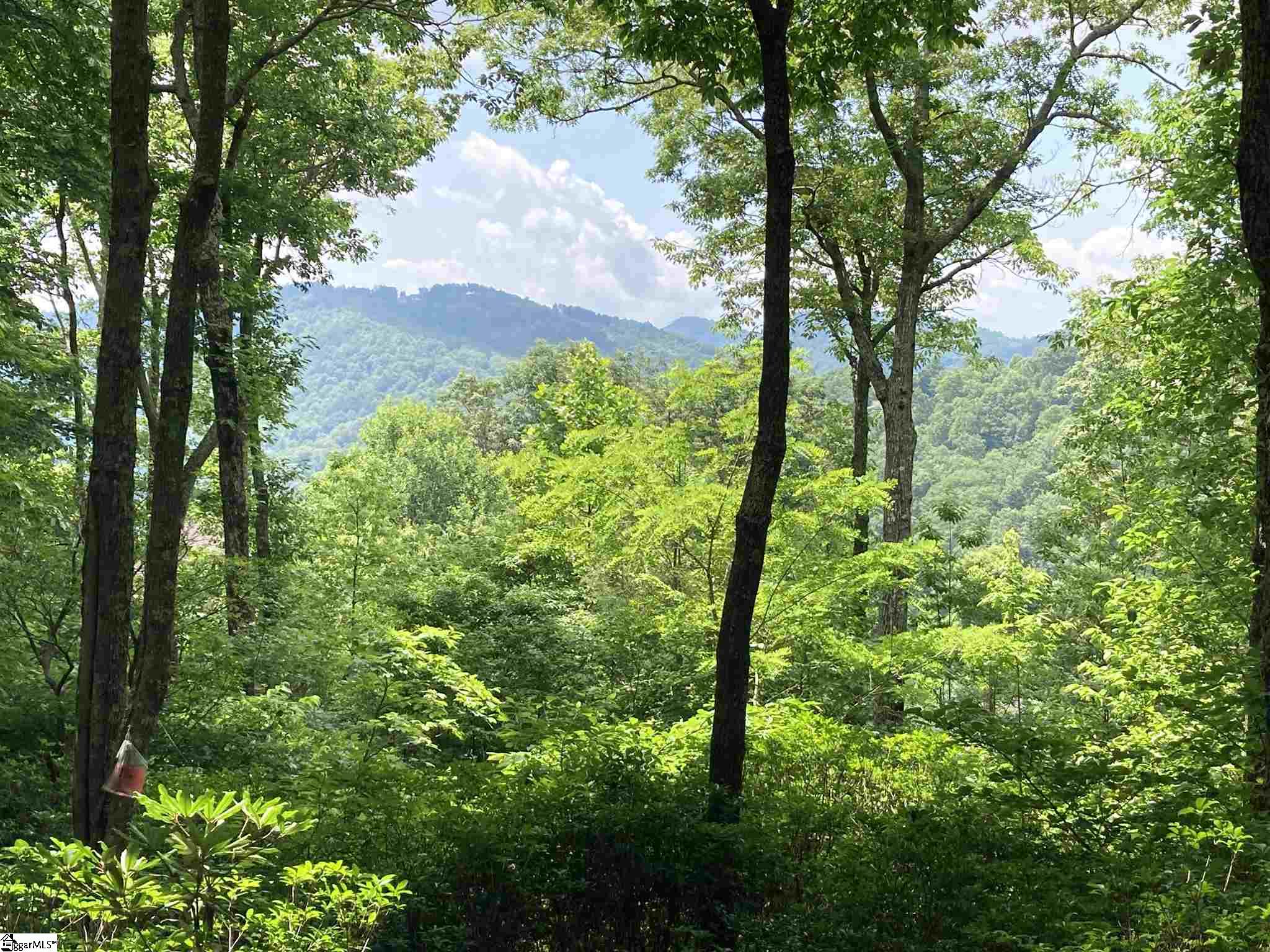 21 High Vista, Travelers Rest, South Carolina image 2