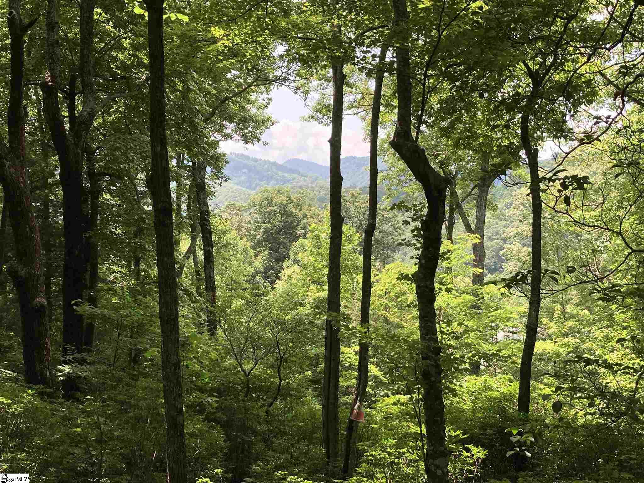 21 High Vista, Travelers Rest, South Carolina image 3