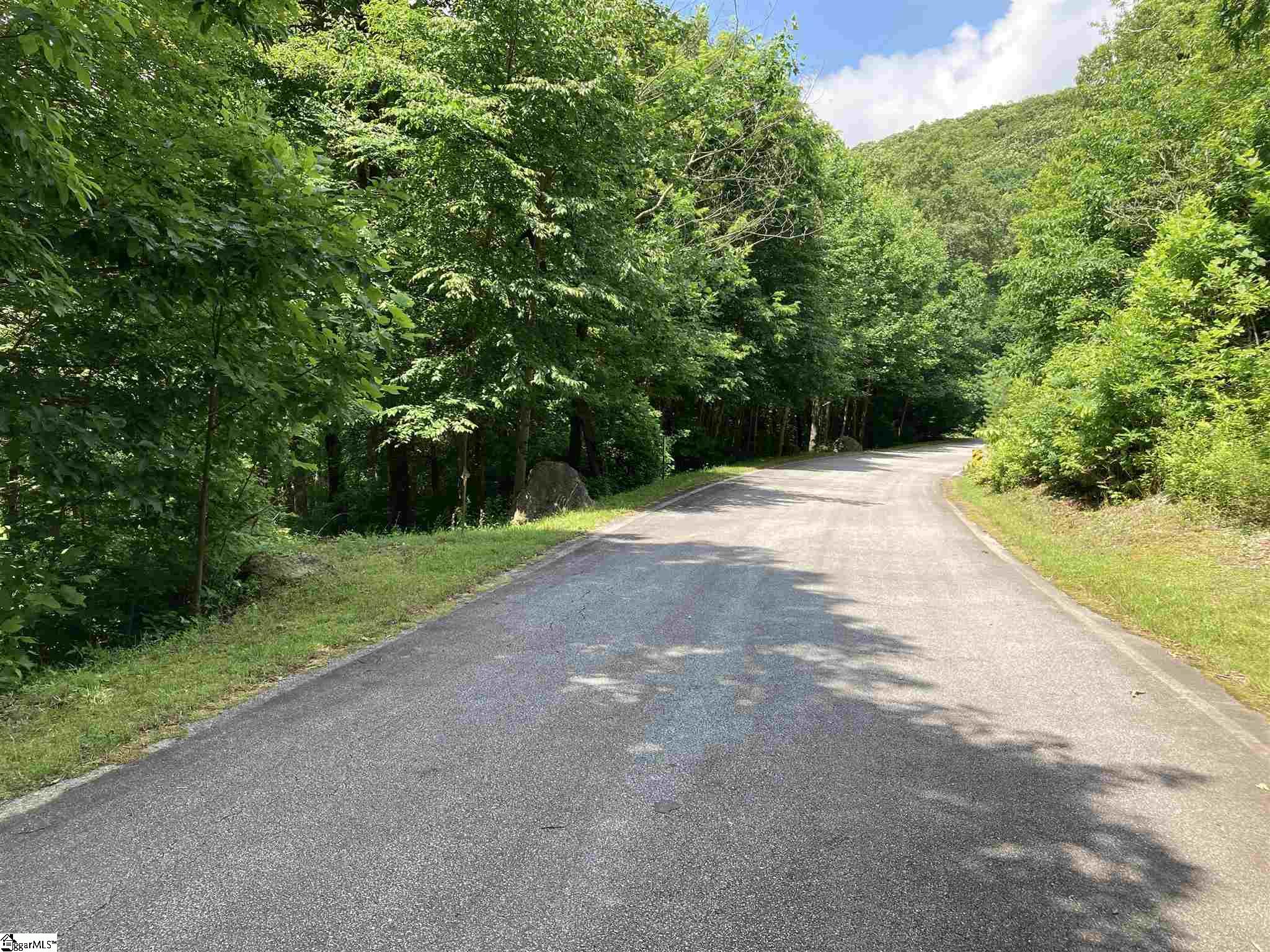 21 High Vista, Travelers Rest, South Carolina image 4