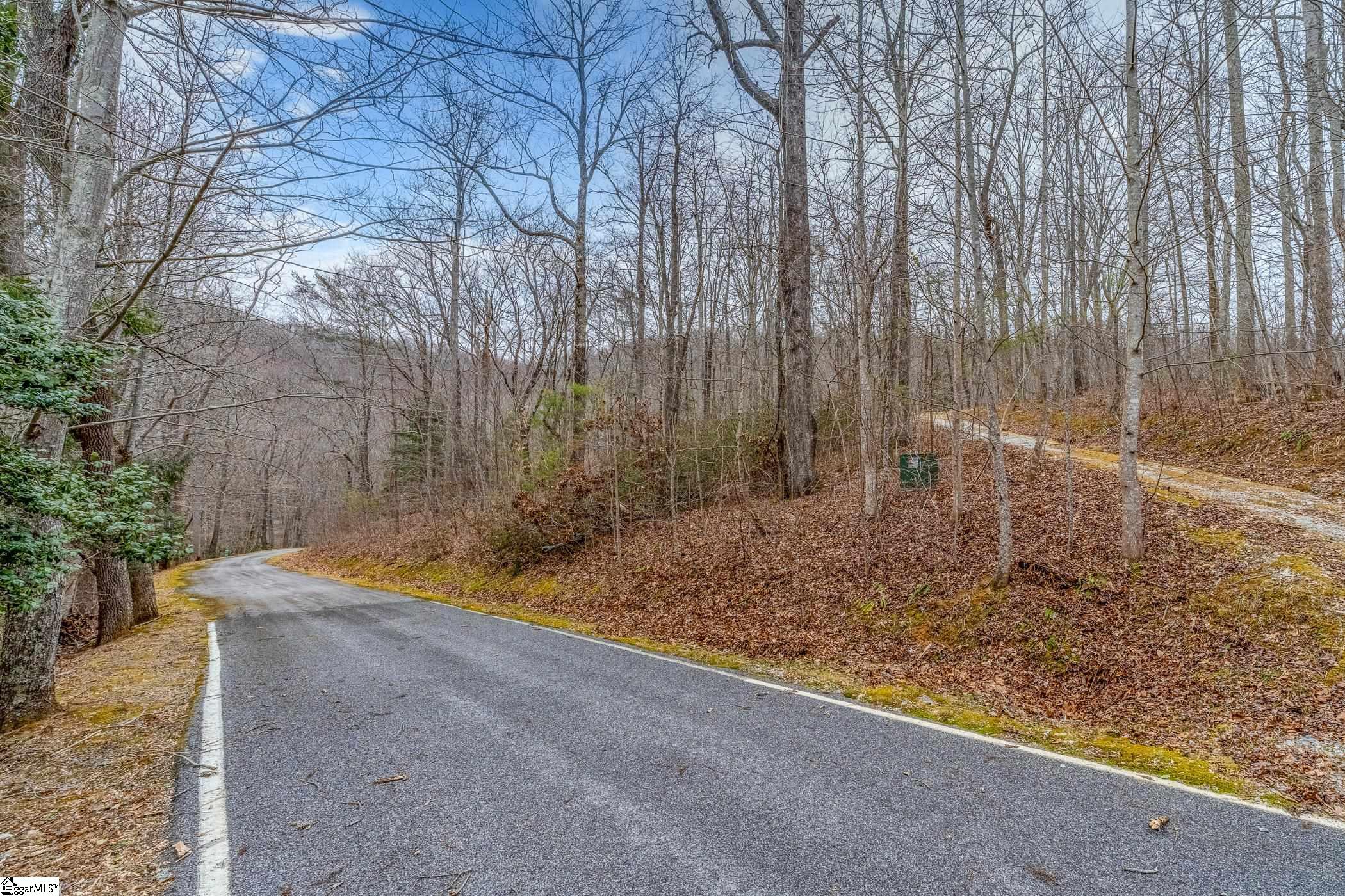 8 Granite Falls, Landrum, South Carolina image 2