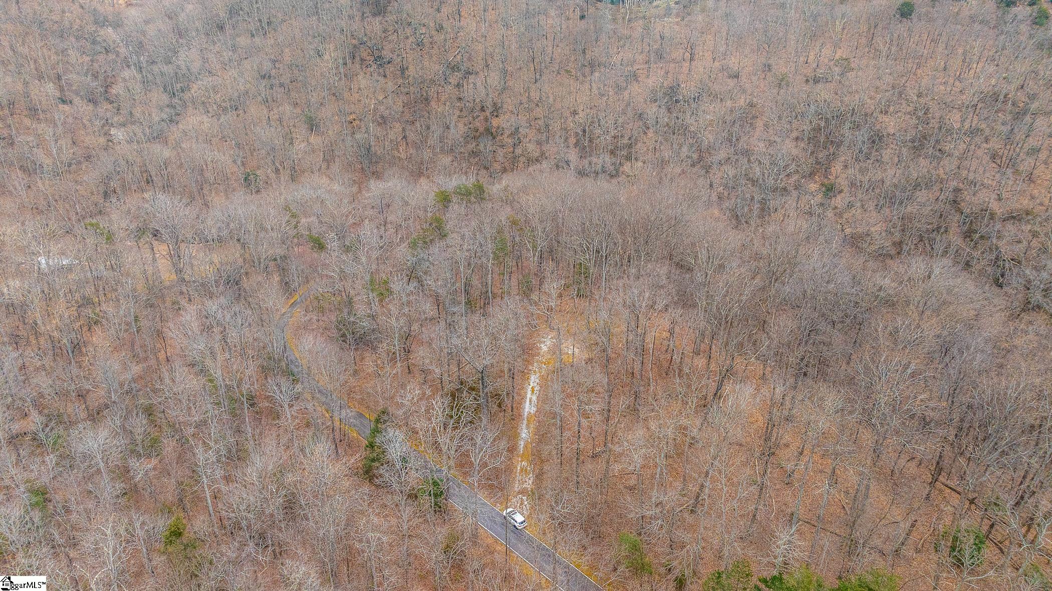 8 Granite Falls, Landrum, South Carolina image 11