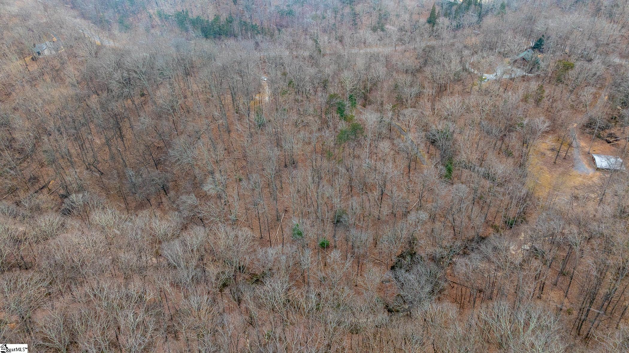 8 Granite Falls, Landrum, South Carolina image 8