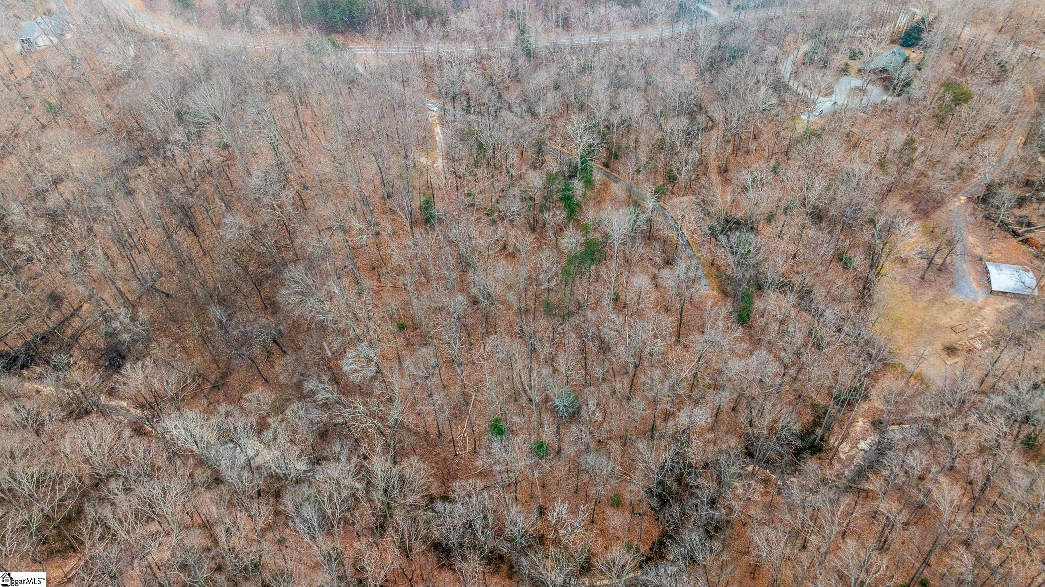8 Granite Falls, Landrum, South Carolina image 9