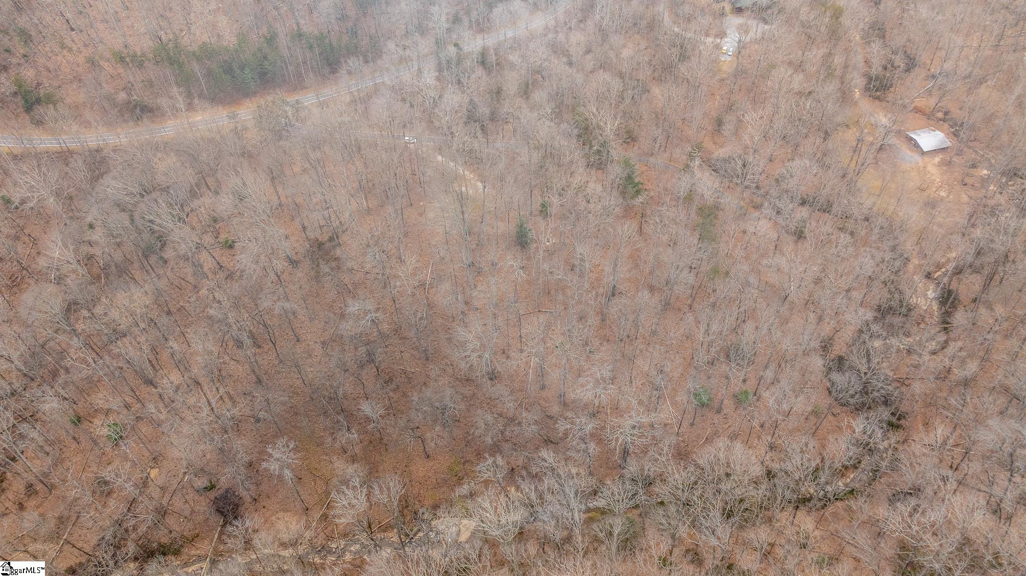 8 Granite Falls, Landrum, South Carolina image 10