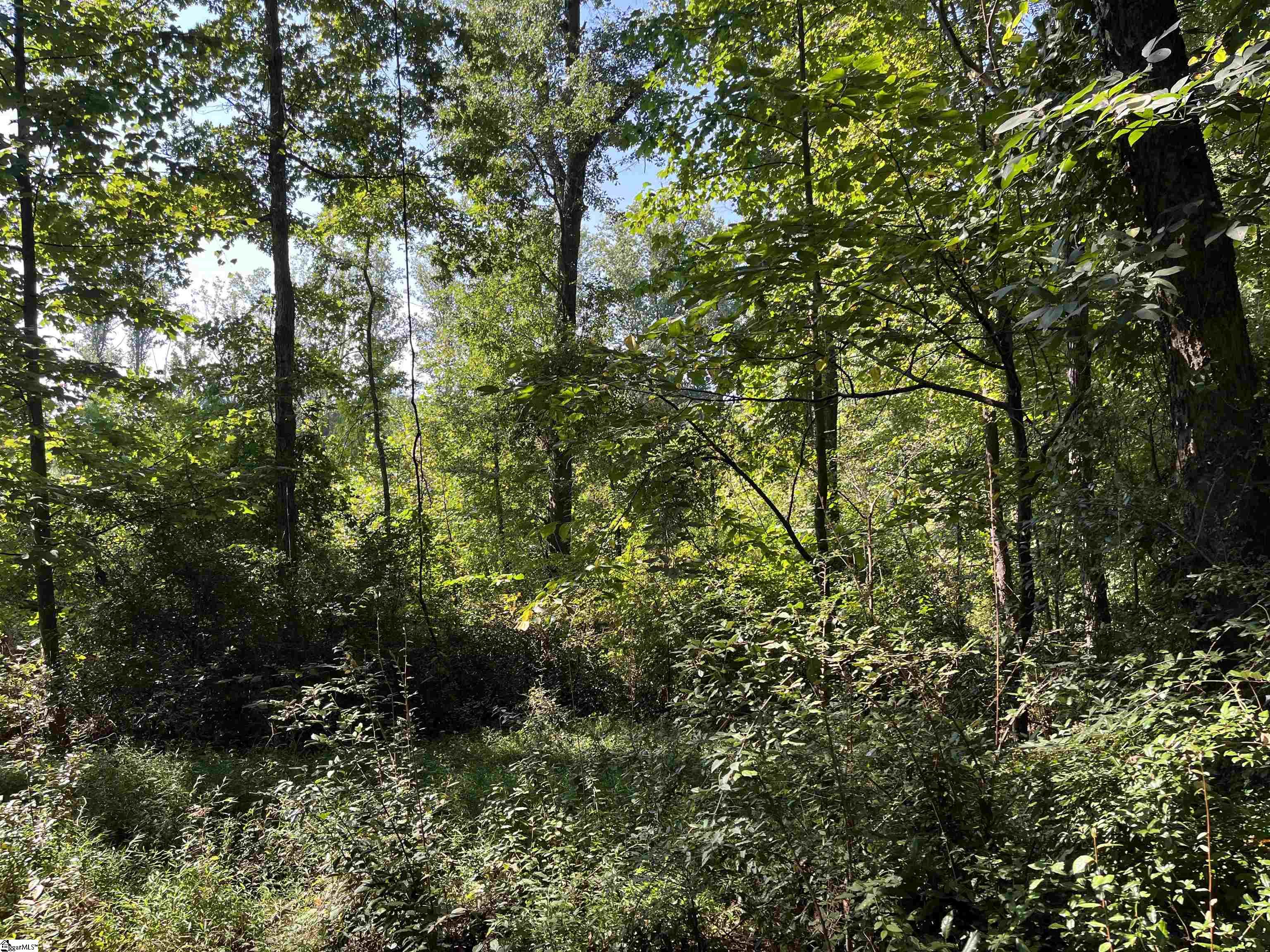 00 Porter Street Wellford, SC 29385