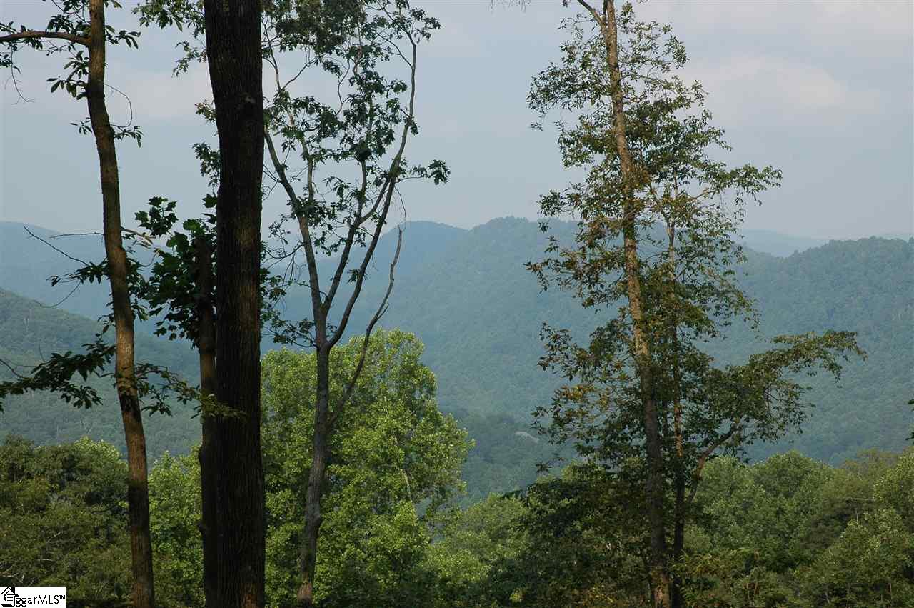 278 Bella Vista, Zirconia, North Carolina image 3