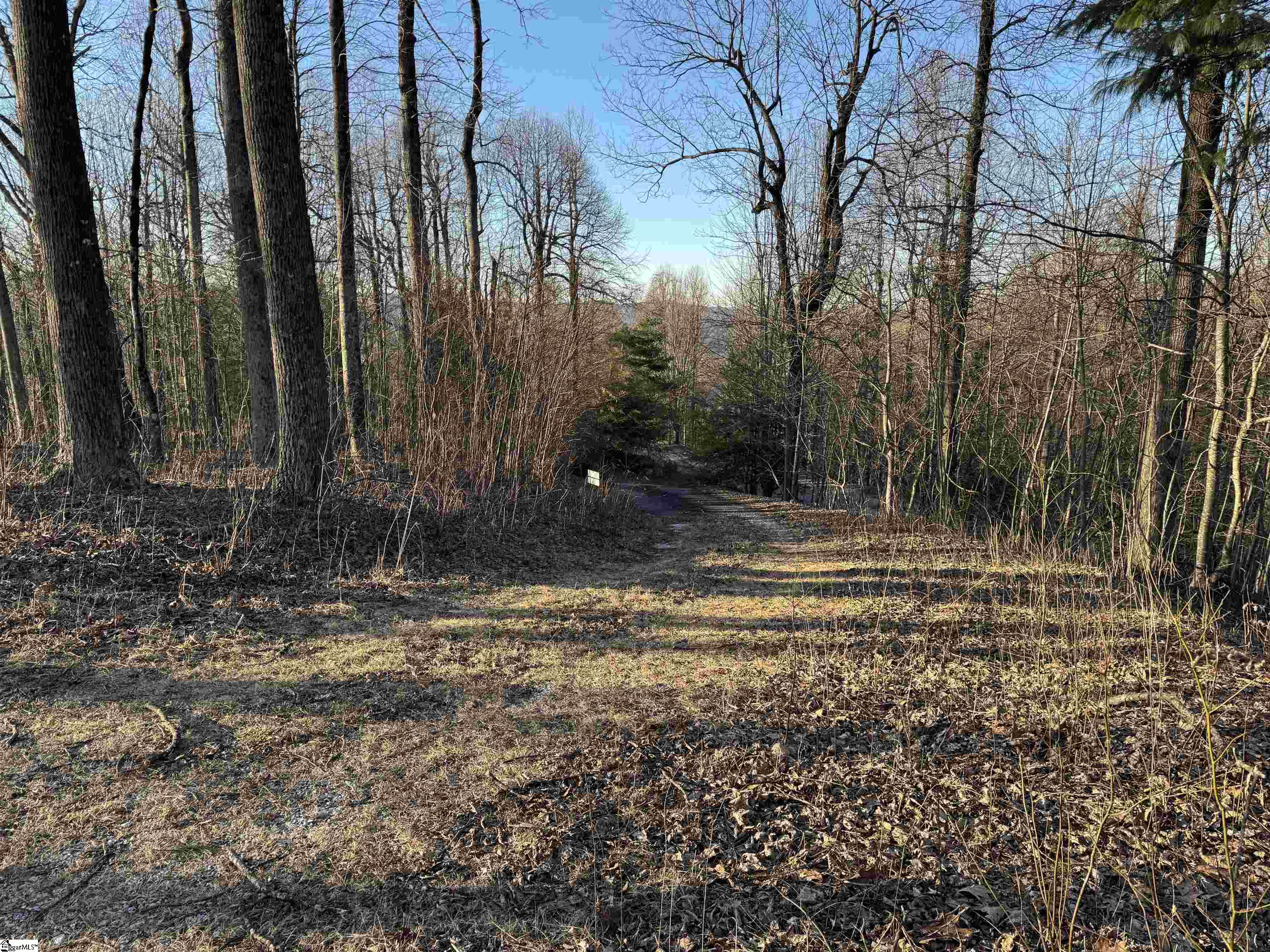 278 Bella Vista Court Zirconia, NC 28790