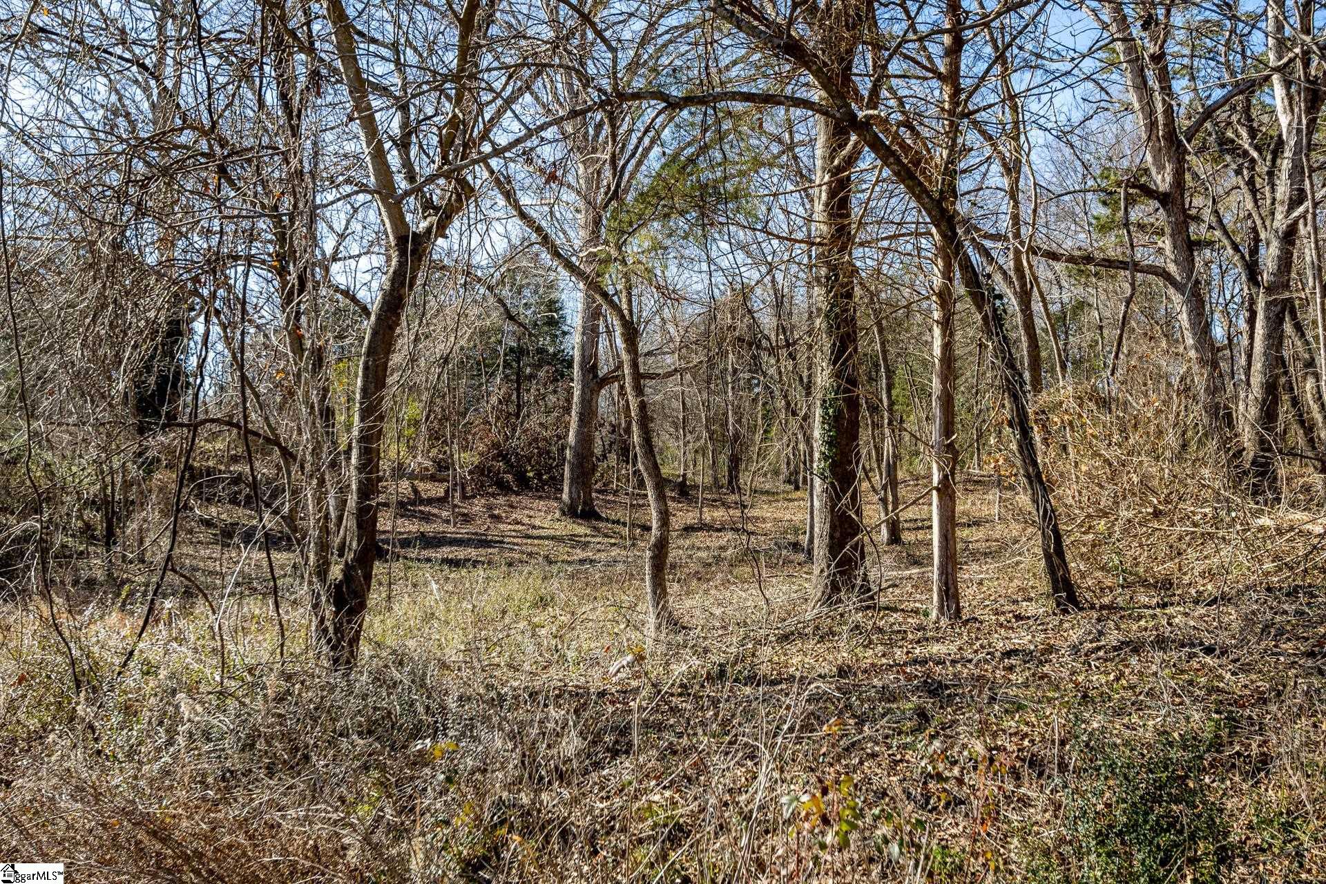 Longbow, Spartanburg, South Carolina image 30
