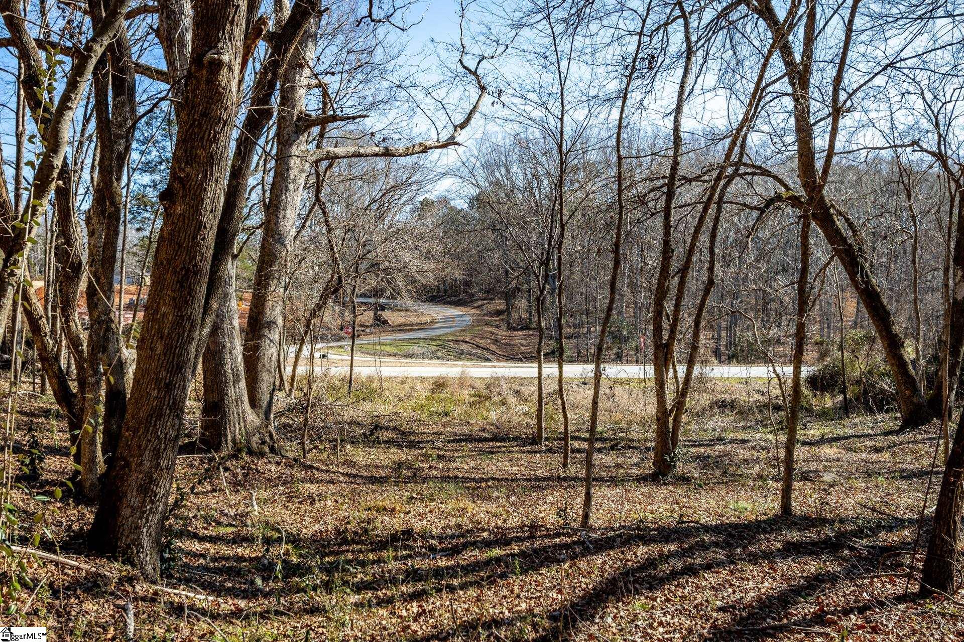 Longbow, Spartanburg, South Carolina image 32
