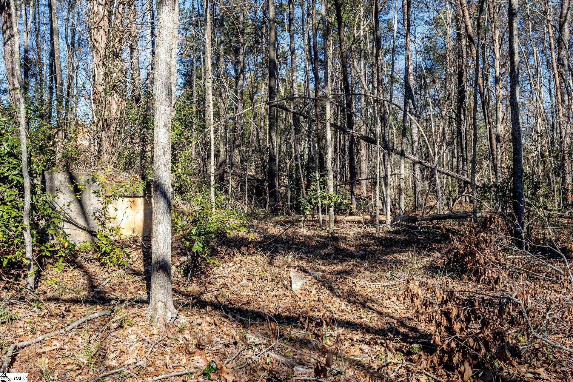Longbow, Spartanburg, South Carolina image 33