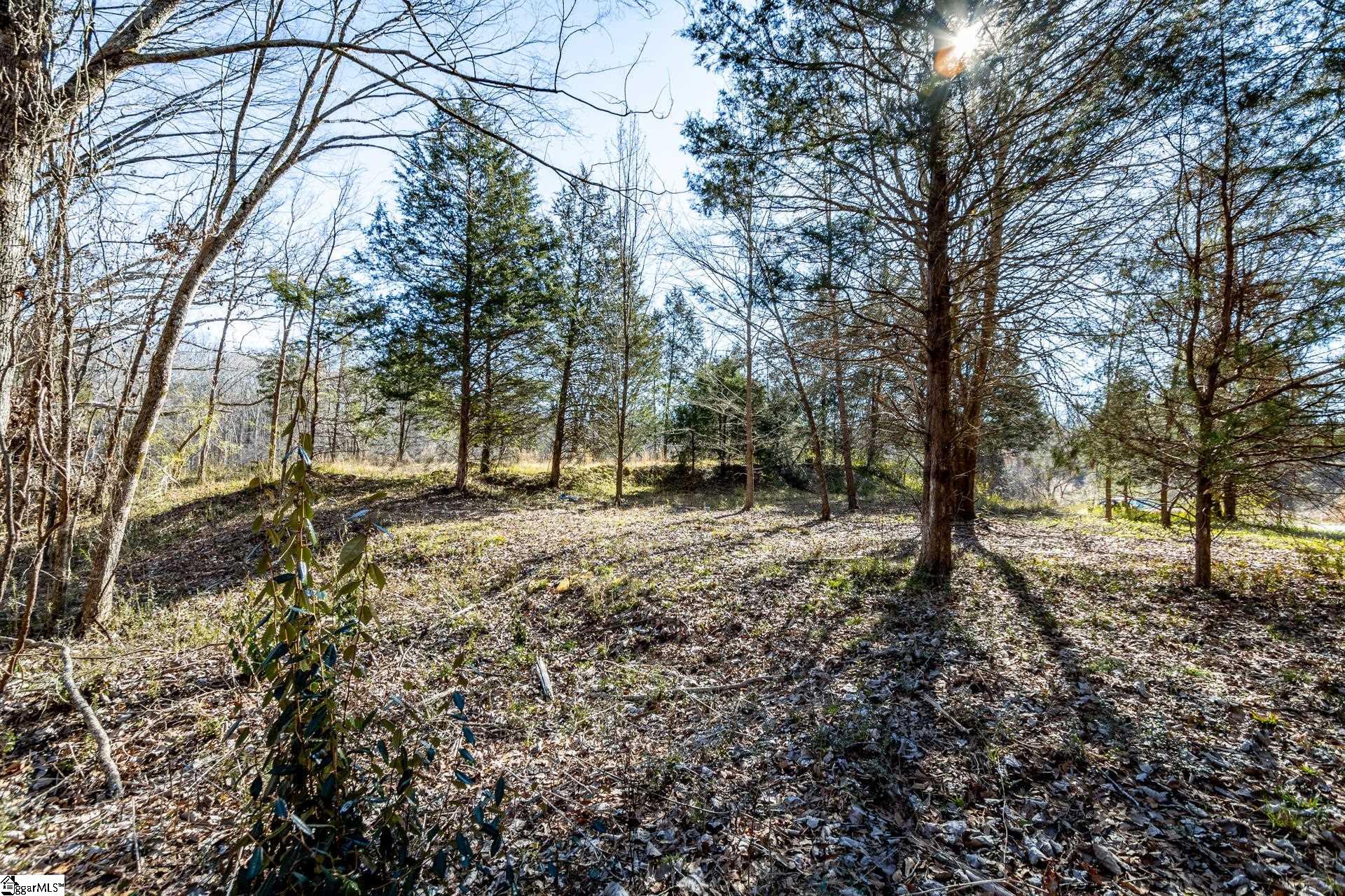 Longbow, Spartanburg, South Carolina image 34