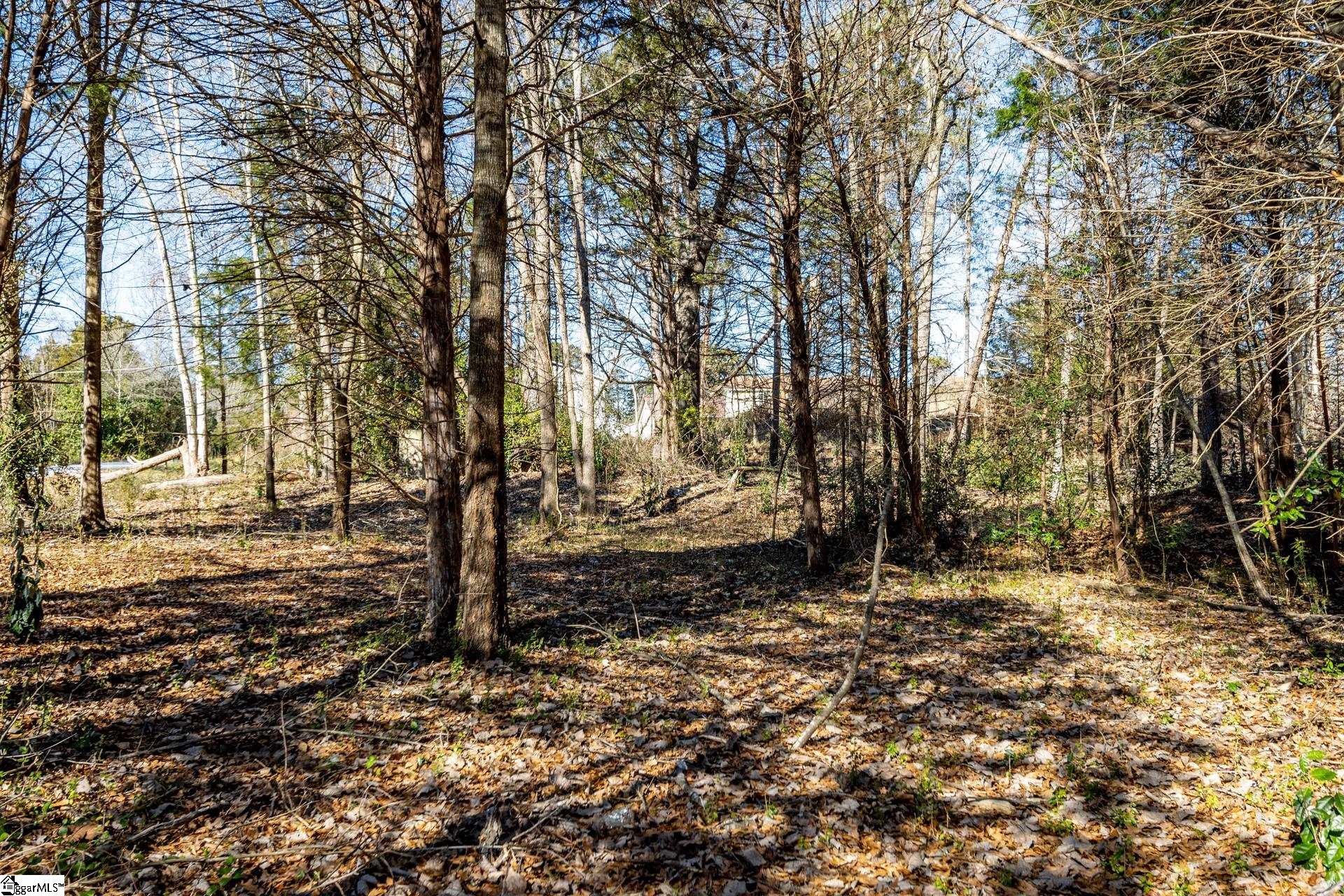Longbow, Spartanburg, South Carolina image 35