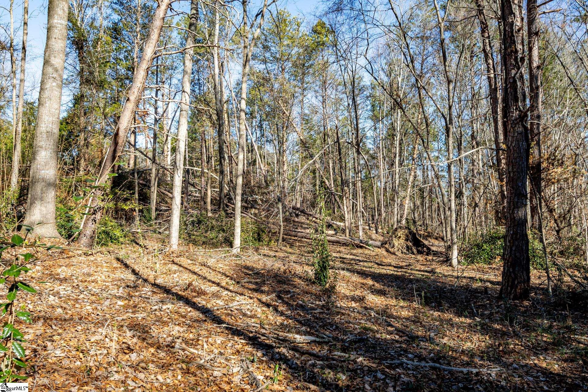 Longbow, Spartanburg, South Carolina image 36
