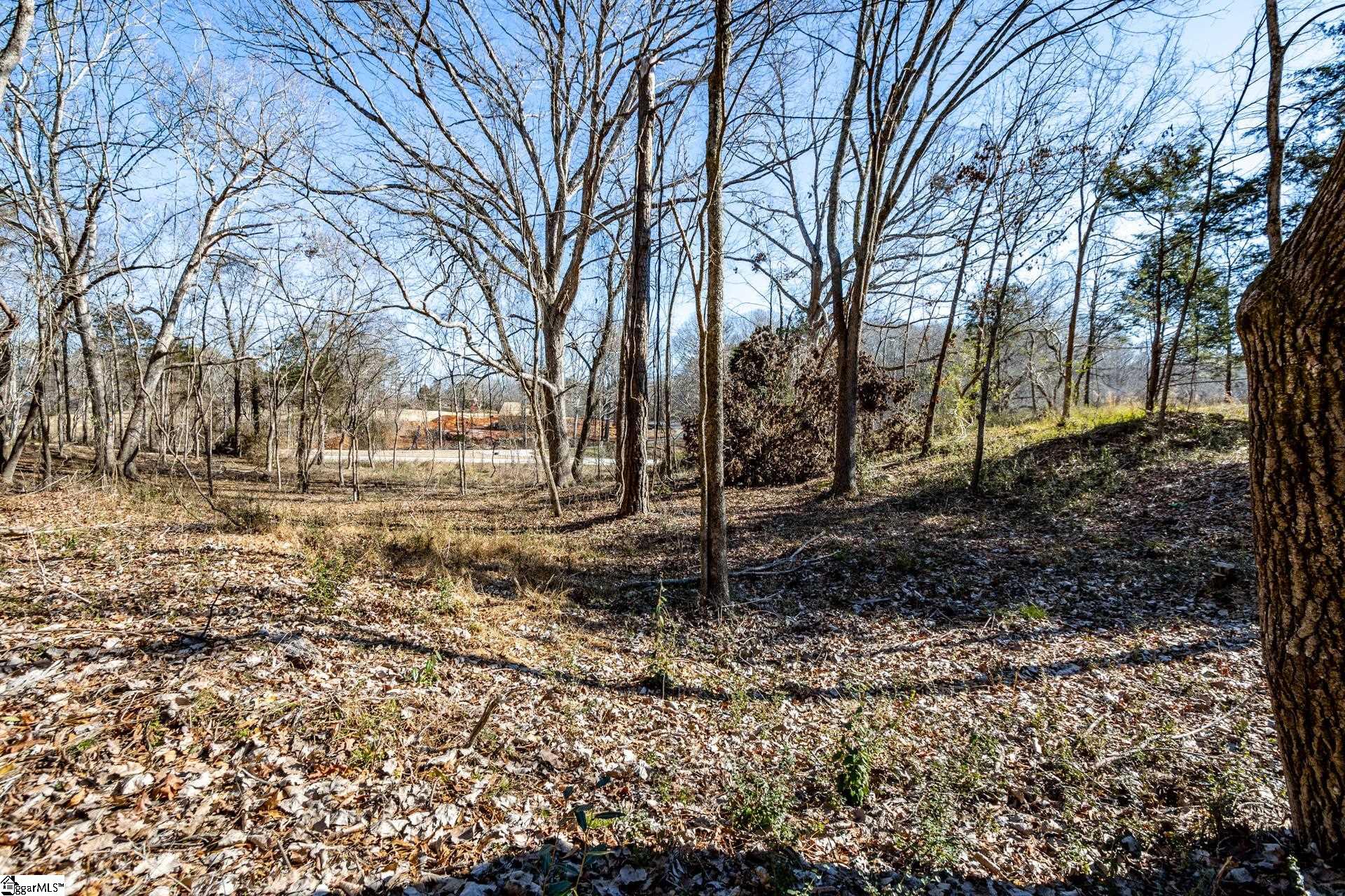 Longbow, Spartanburg, South Carolina image 6