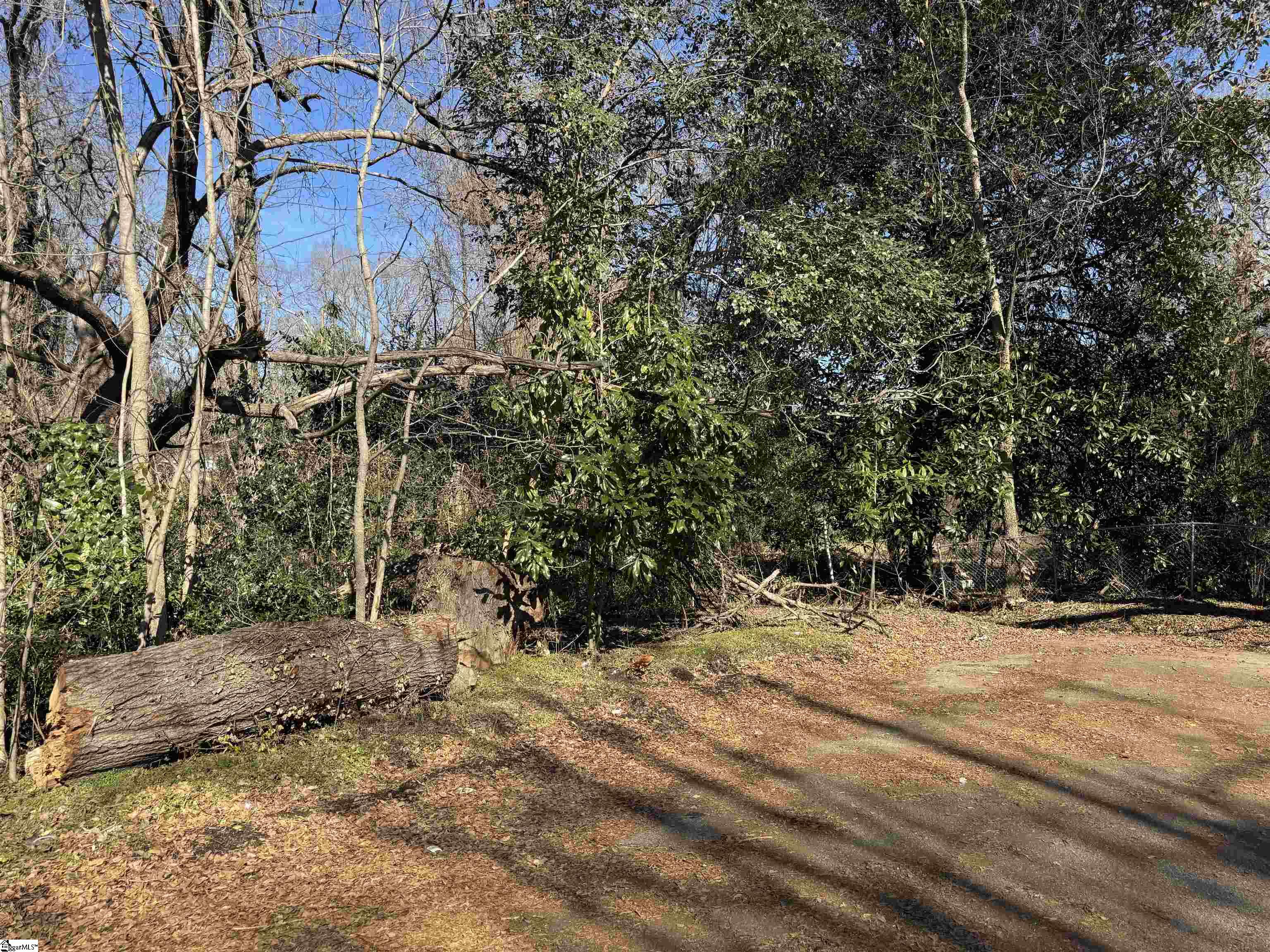 135 Phillips, Woodruff, South Carolina image 1