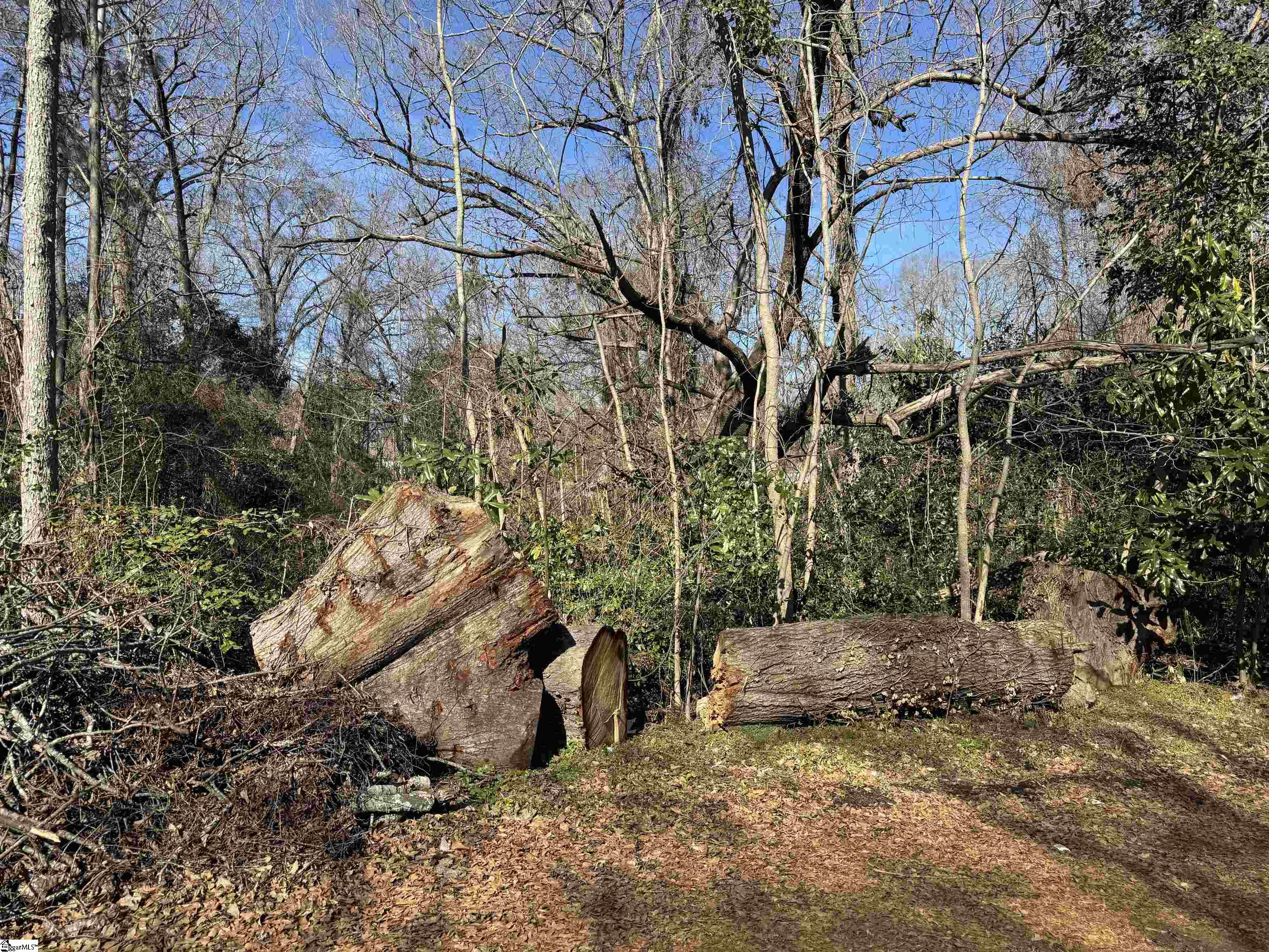135 Phillips, Woodruff, South Carolina image 3
