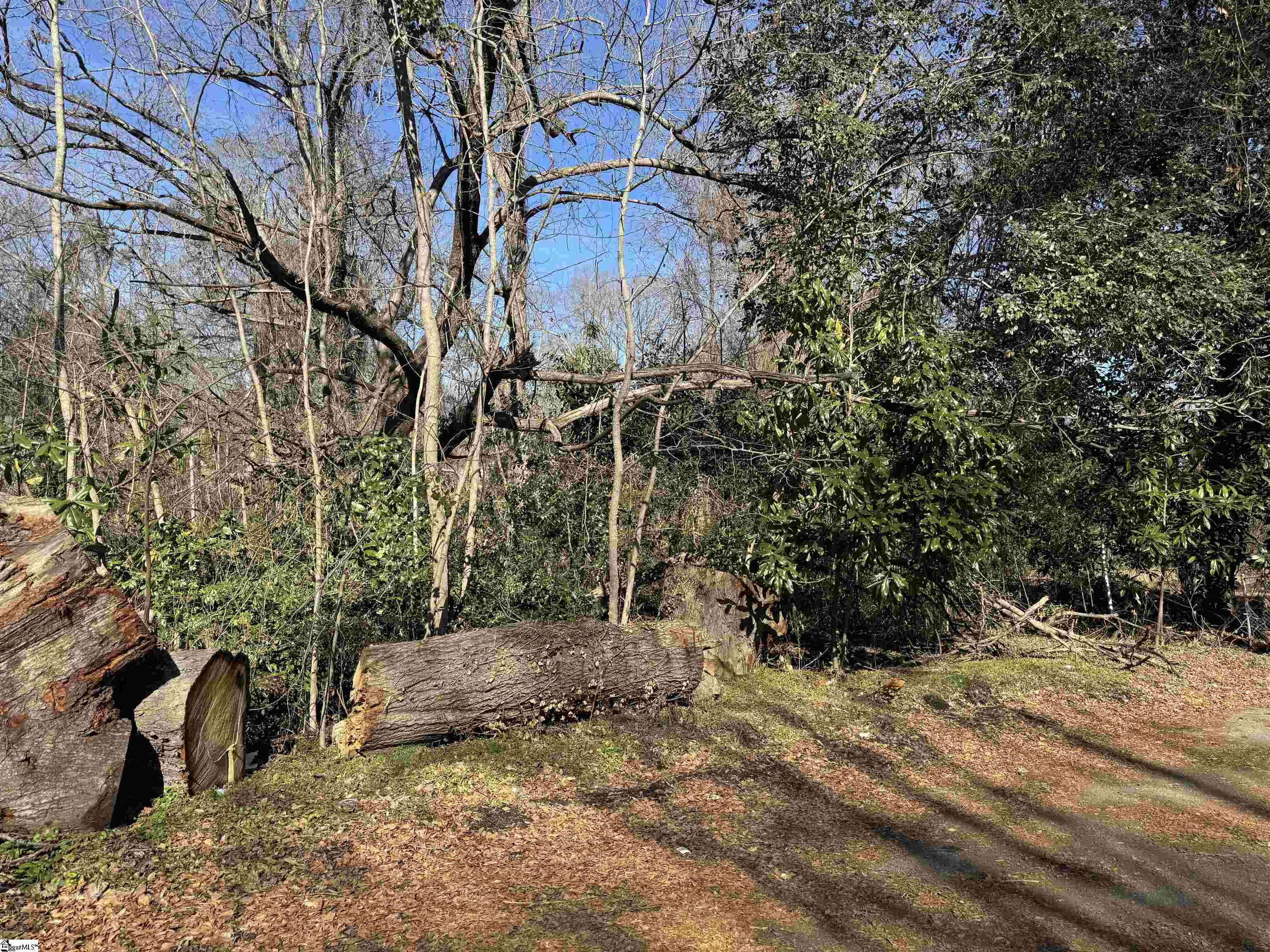 135 Phillips, Woodruff, South Carolina image 4