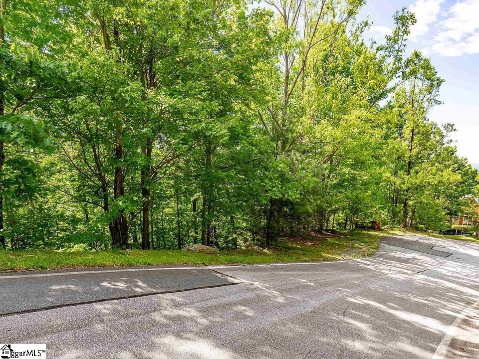 1 Bendview, Travelers Rest, South Carolina image 16