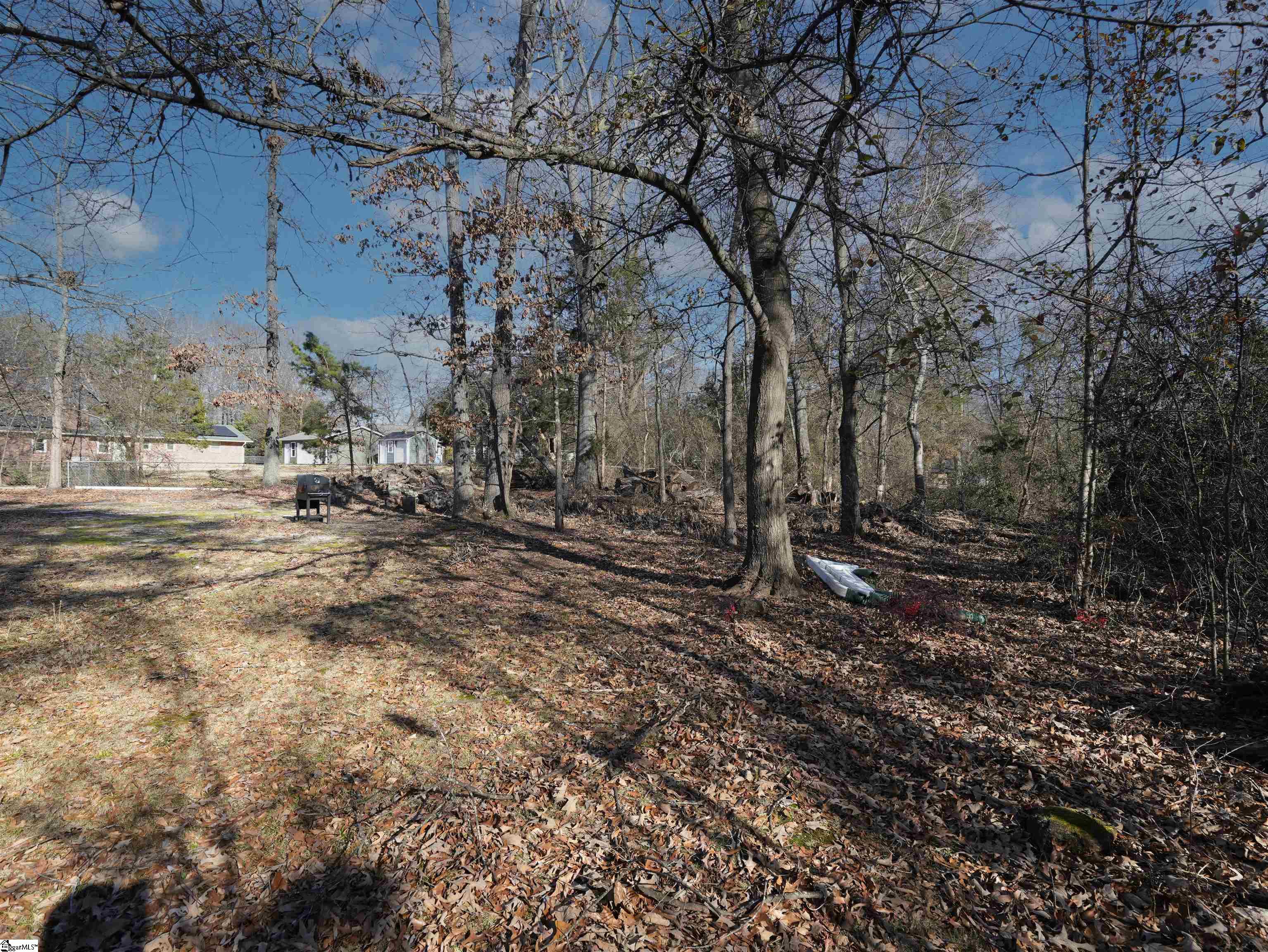 207 Barry, Greer, South Carolina image 24