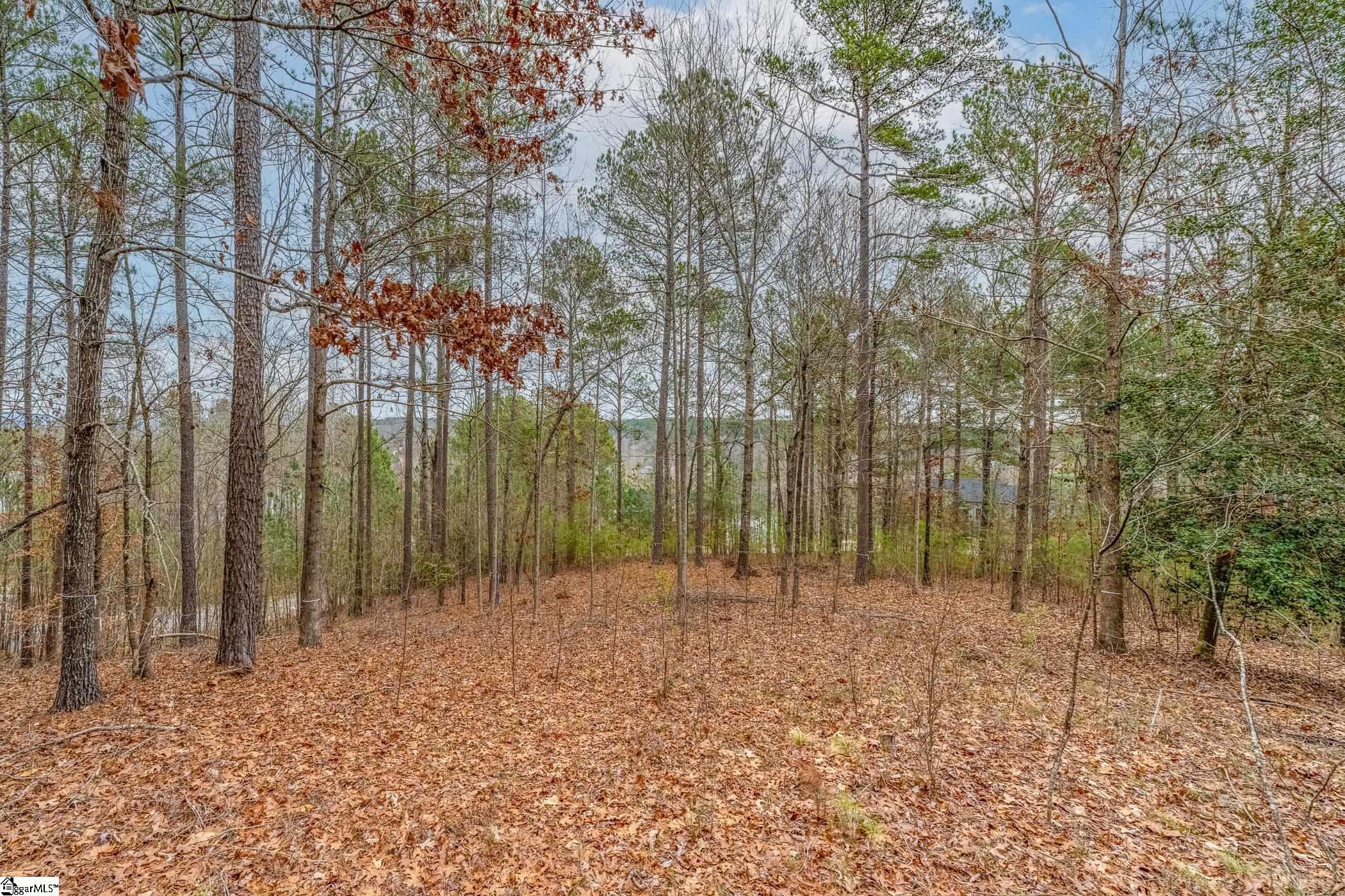 335 Long Cove, Salem, South Carolina image 3