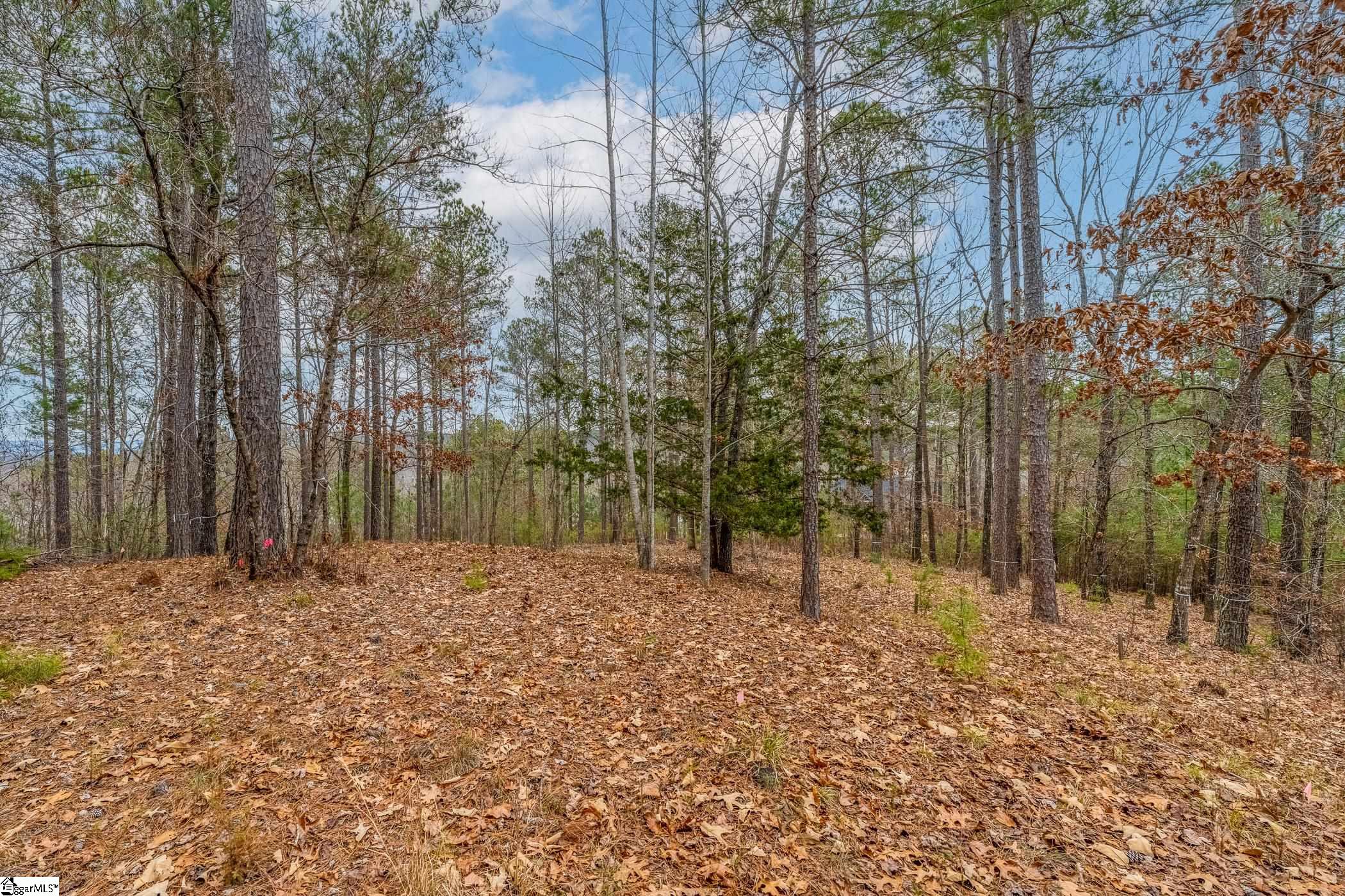 335 Long Cove, Salem, South Carolina image 5