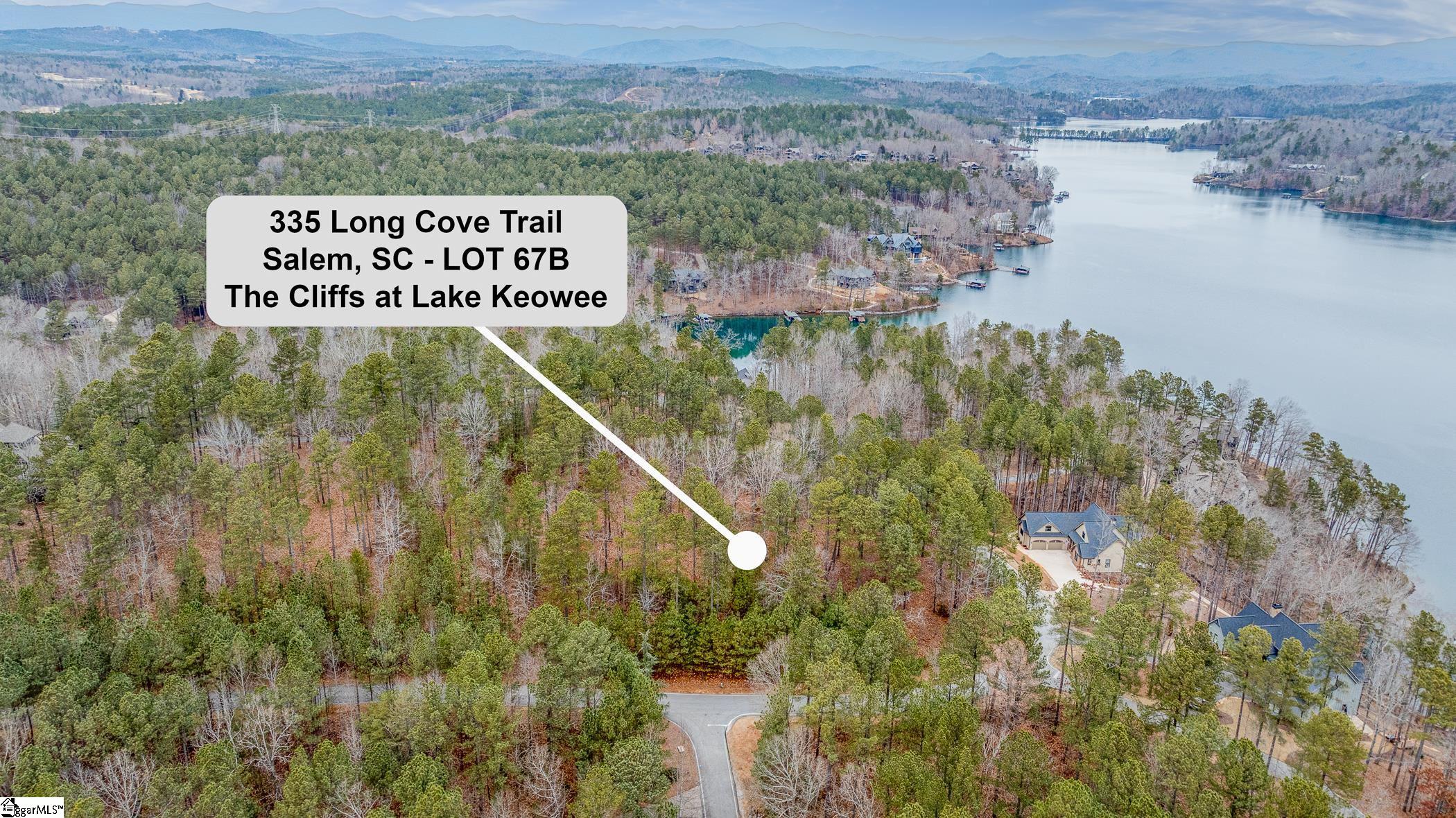 335 Long Cove, Salem, South Carolina image 6