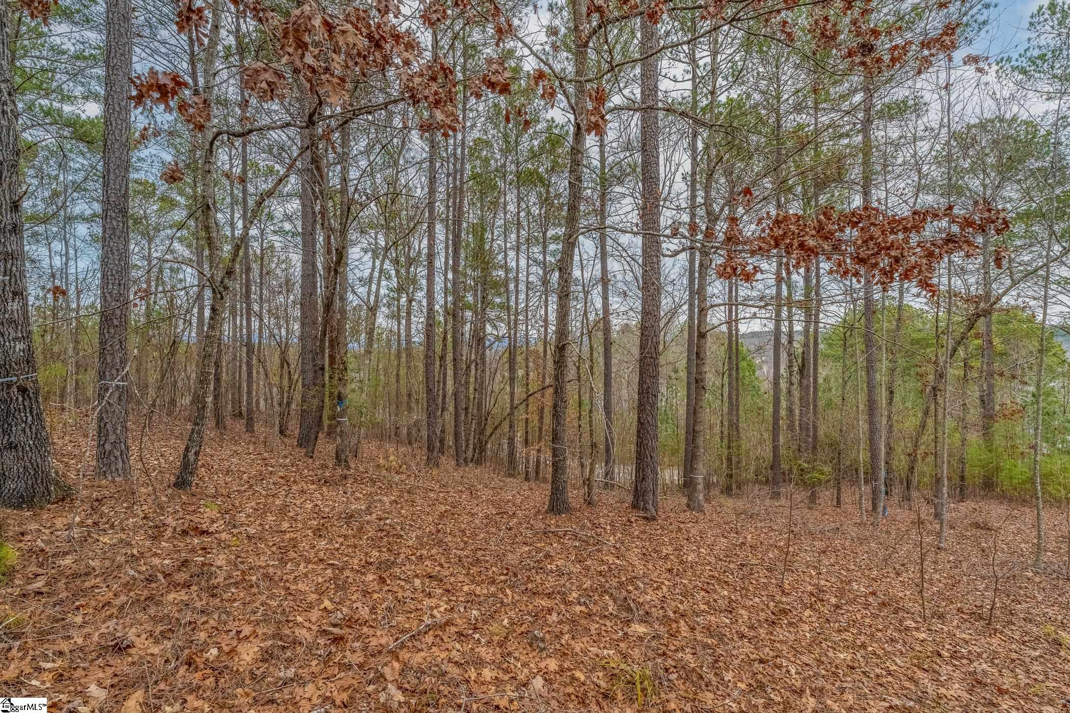 335 Long Cove, Salem, South Carolina image 7