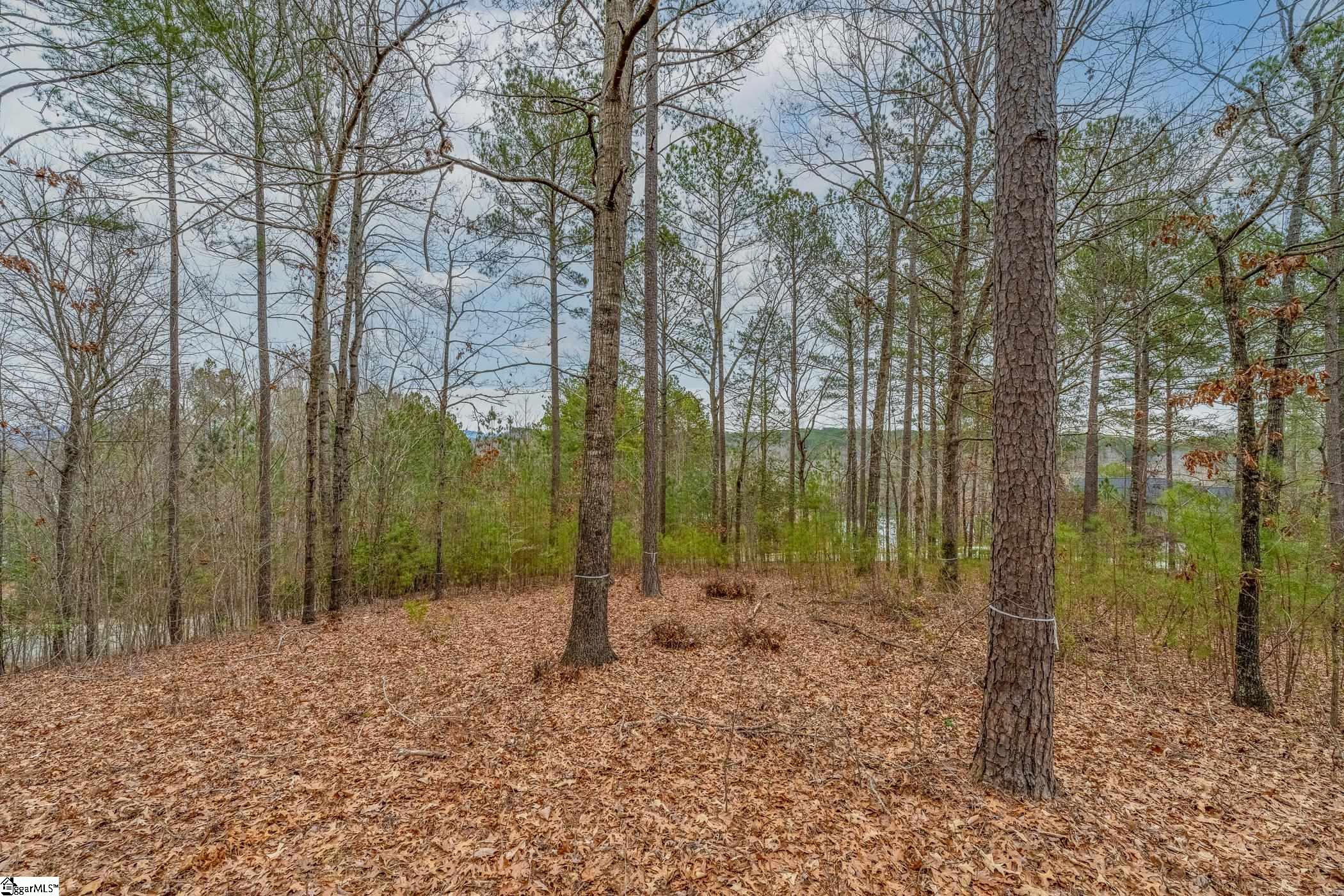 335 Long Cove, Salem, South Carolina image 8