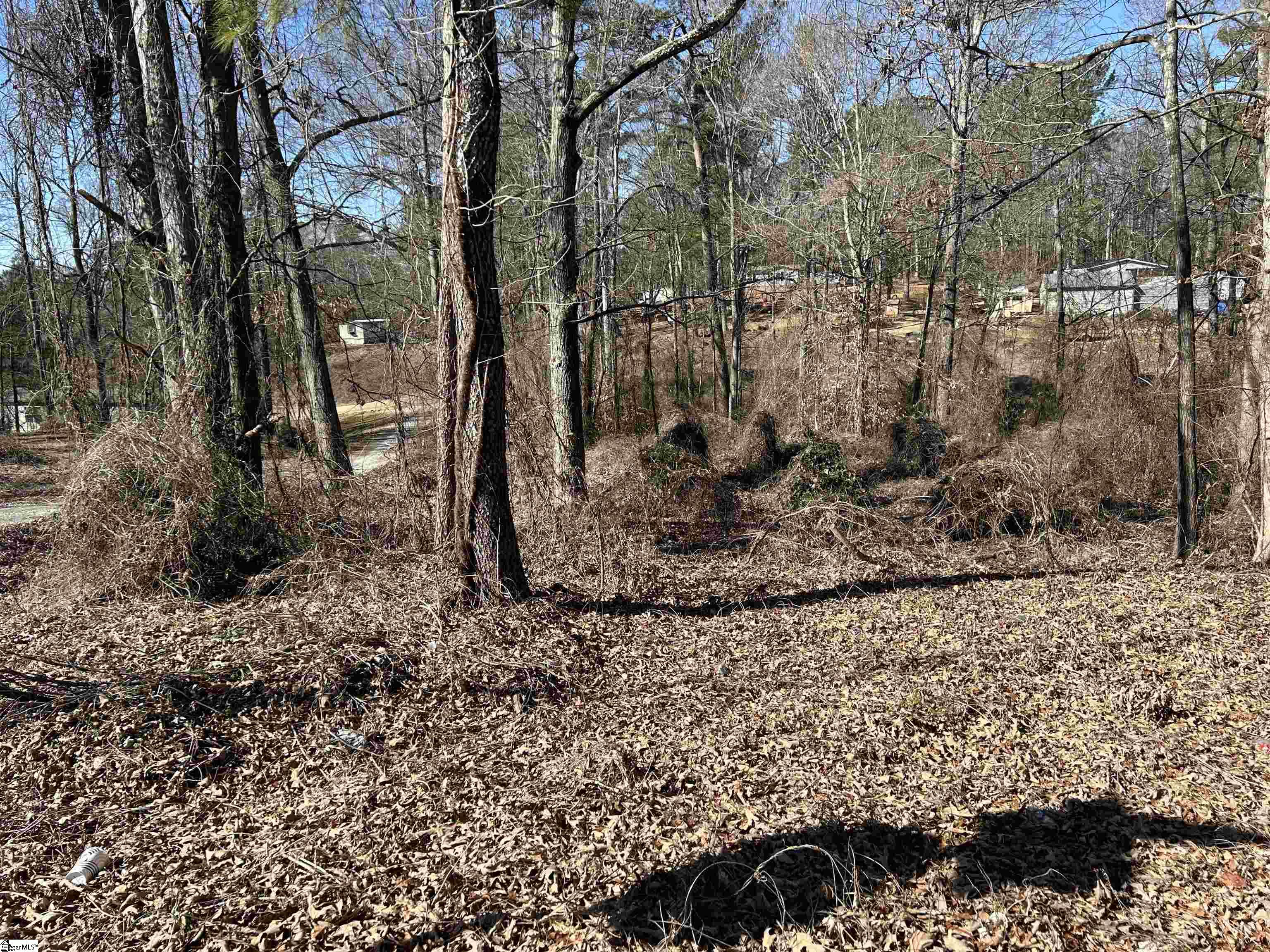 00 Wynette, Inman, South Carolina image 1