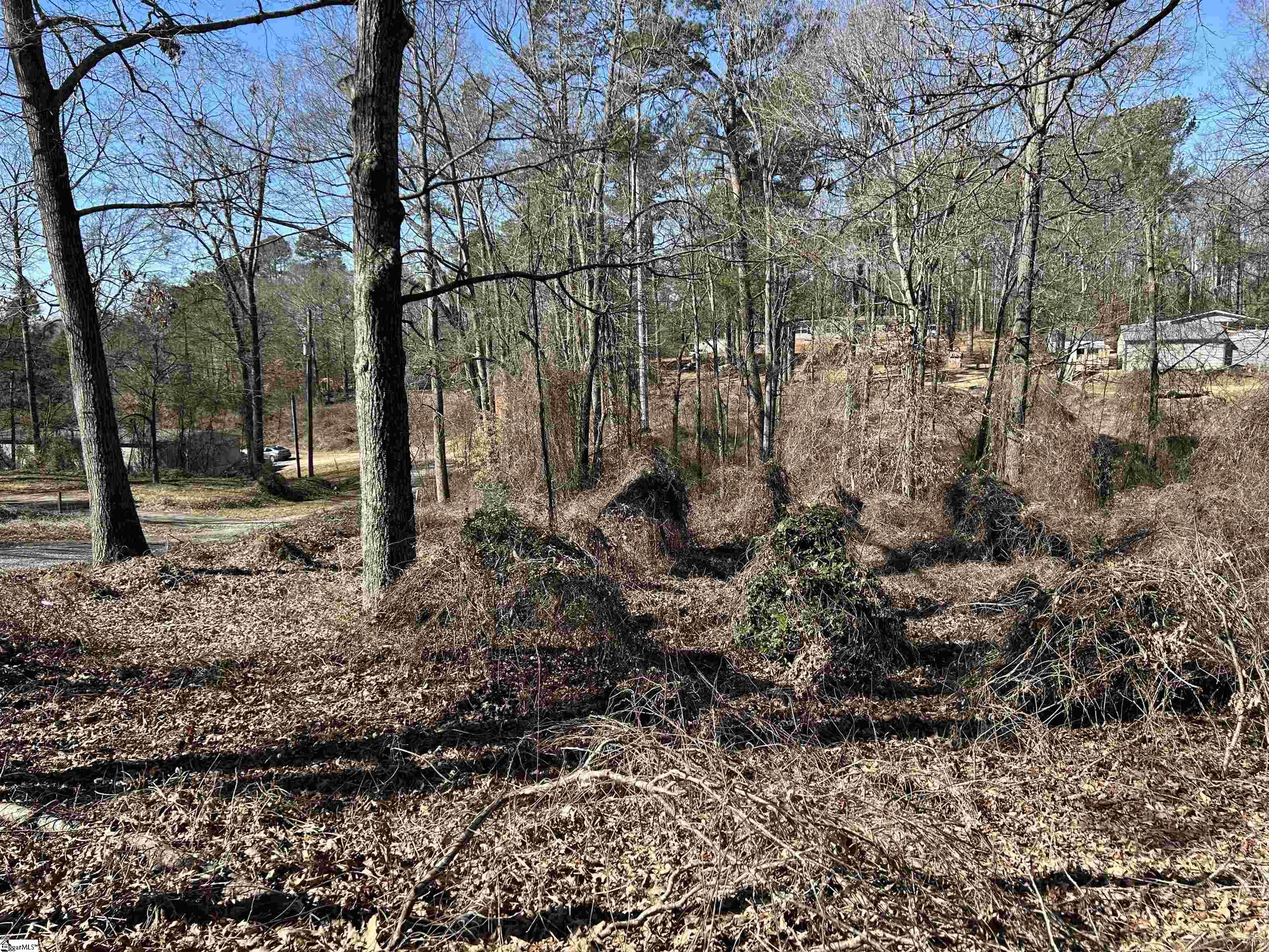 00 Wynette, Inman, South Carolina image 3