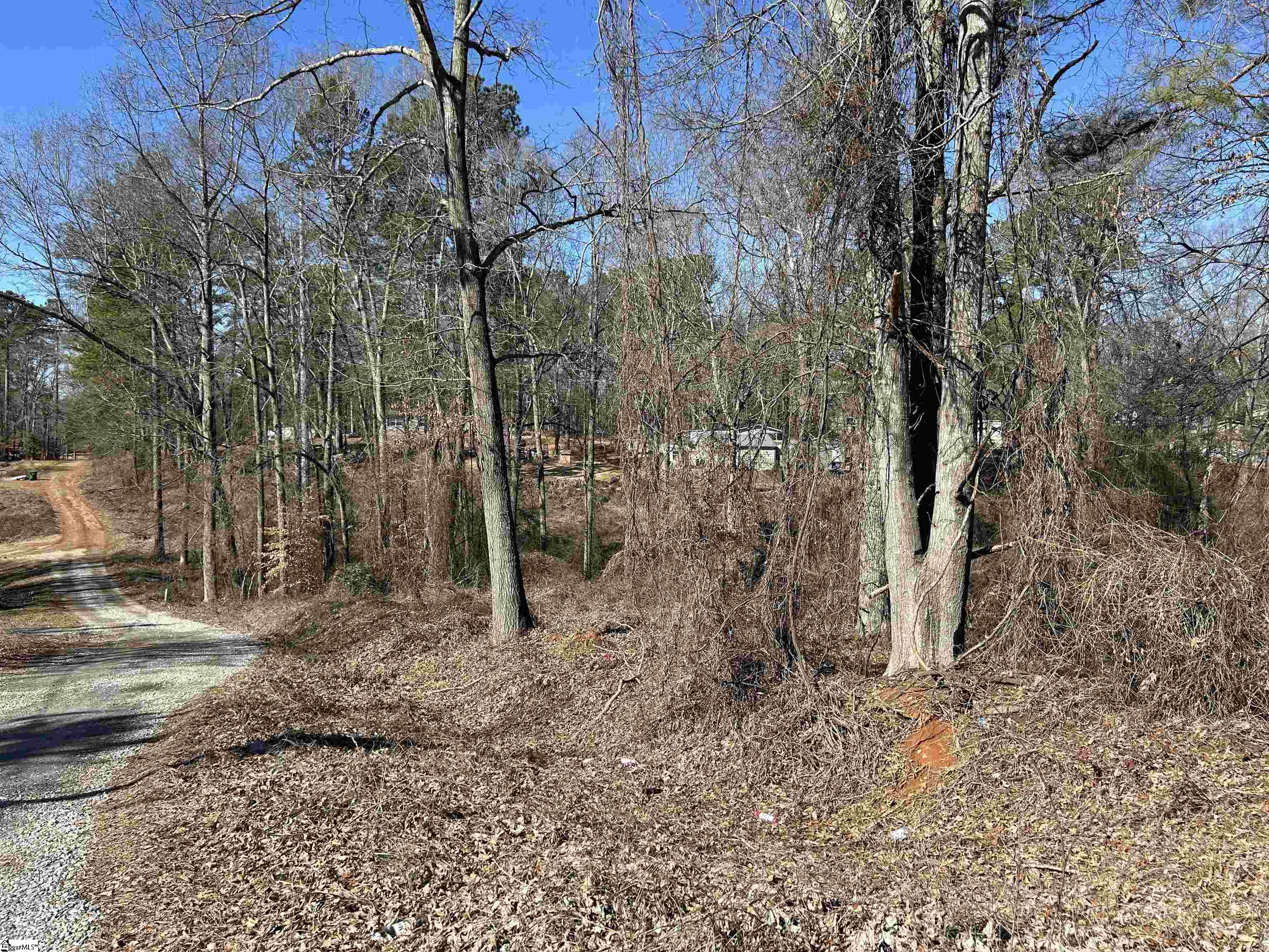 00 Wynette, Inman, South Carolina image 4