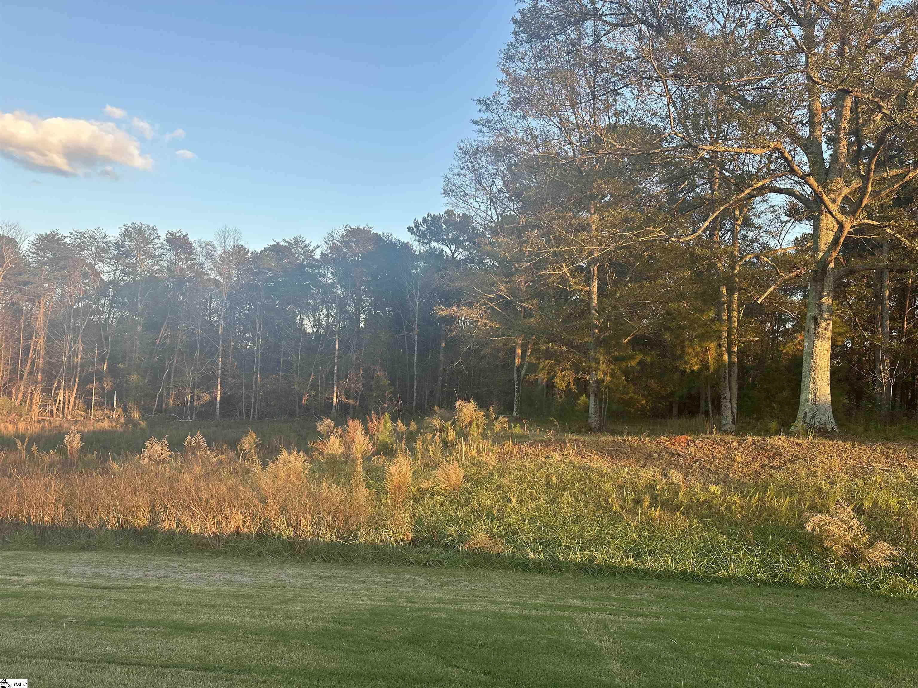 728 Gilgal Lane Wellford, SC 29385