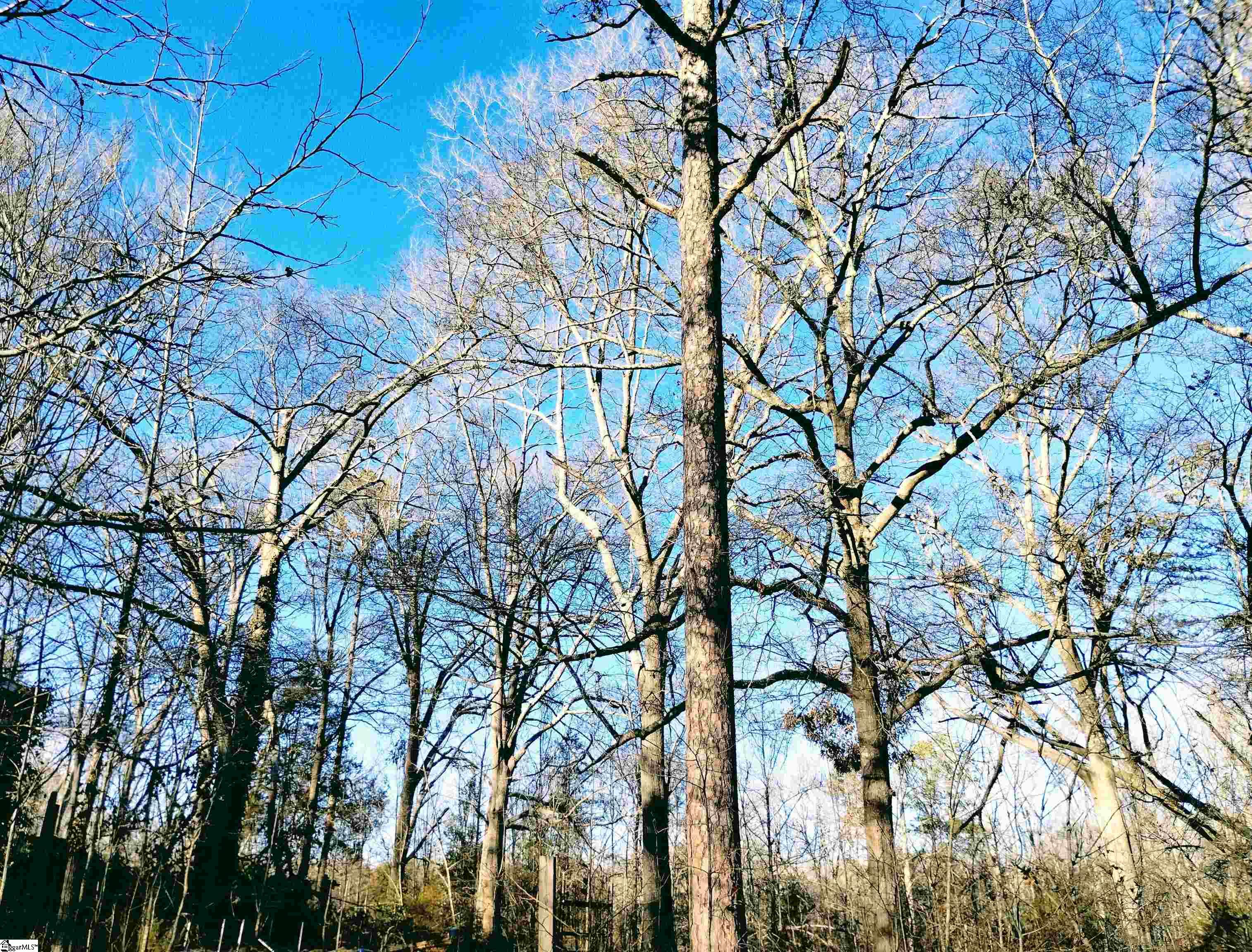 300 Mckinney, Simpsonville, South Carolina image 2