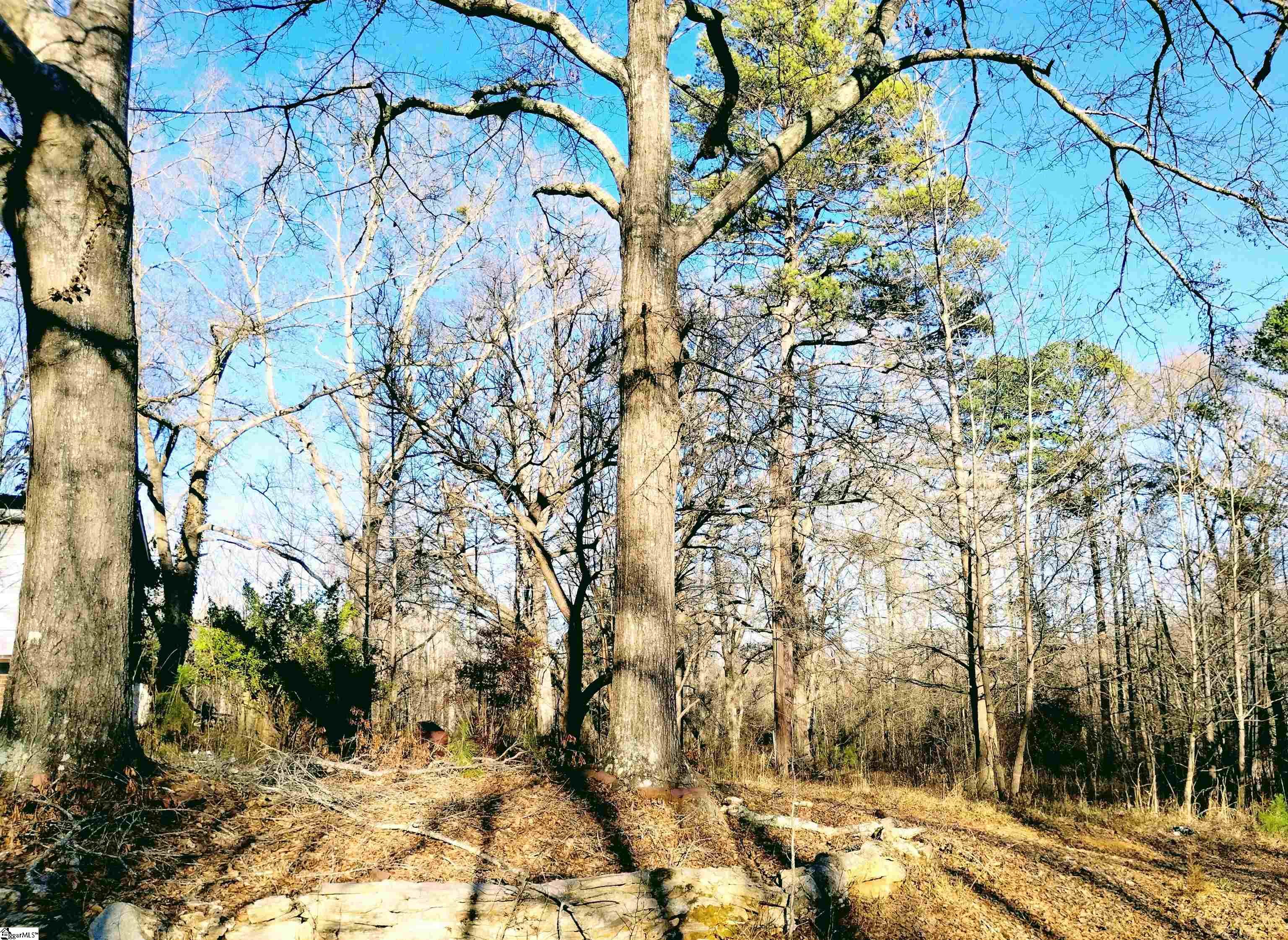 300 Mckinney, Simpsonville, South Carolina image 13