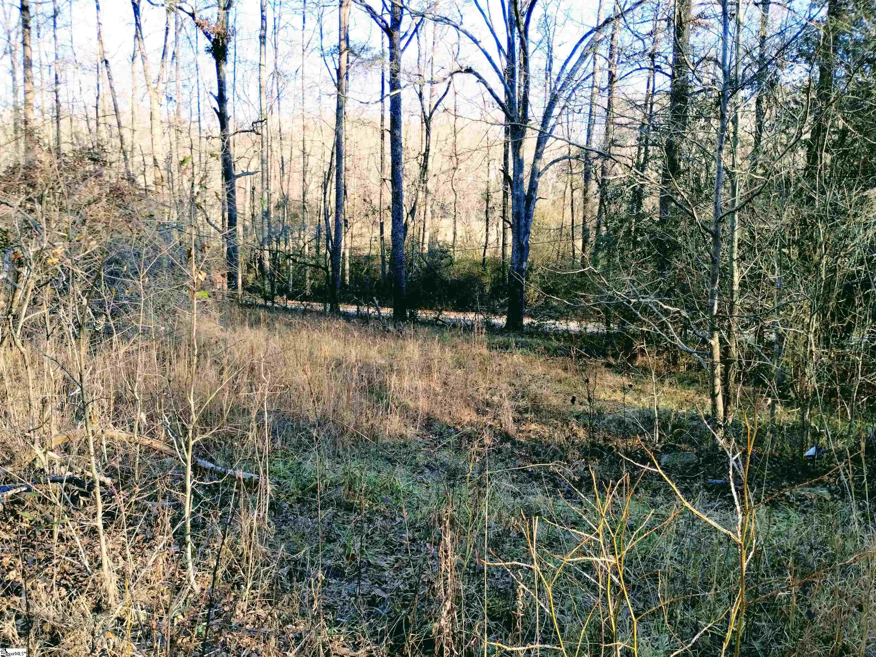 300 Mckinney, Simpsonville, South Carolina image 10