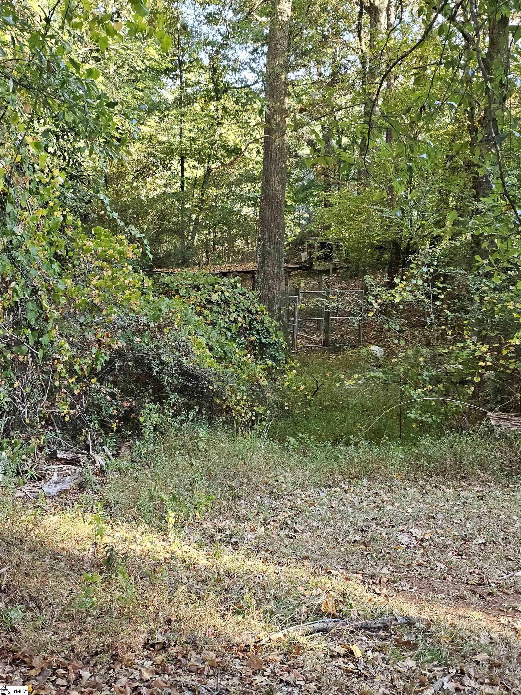204 Friendship, Walhalla, South Carolina image 9