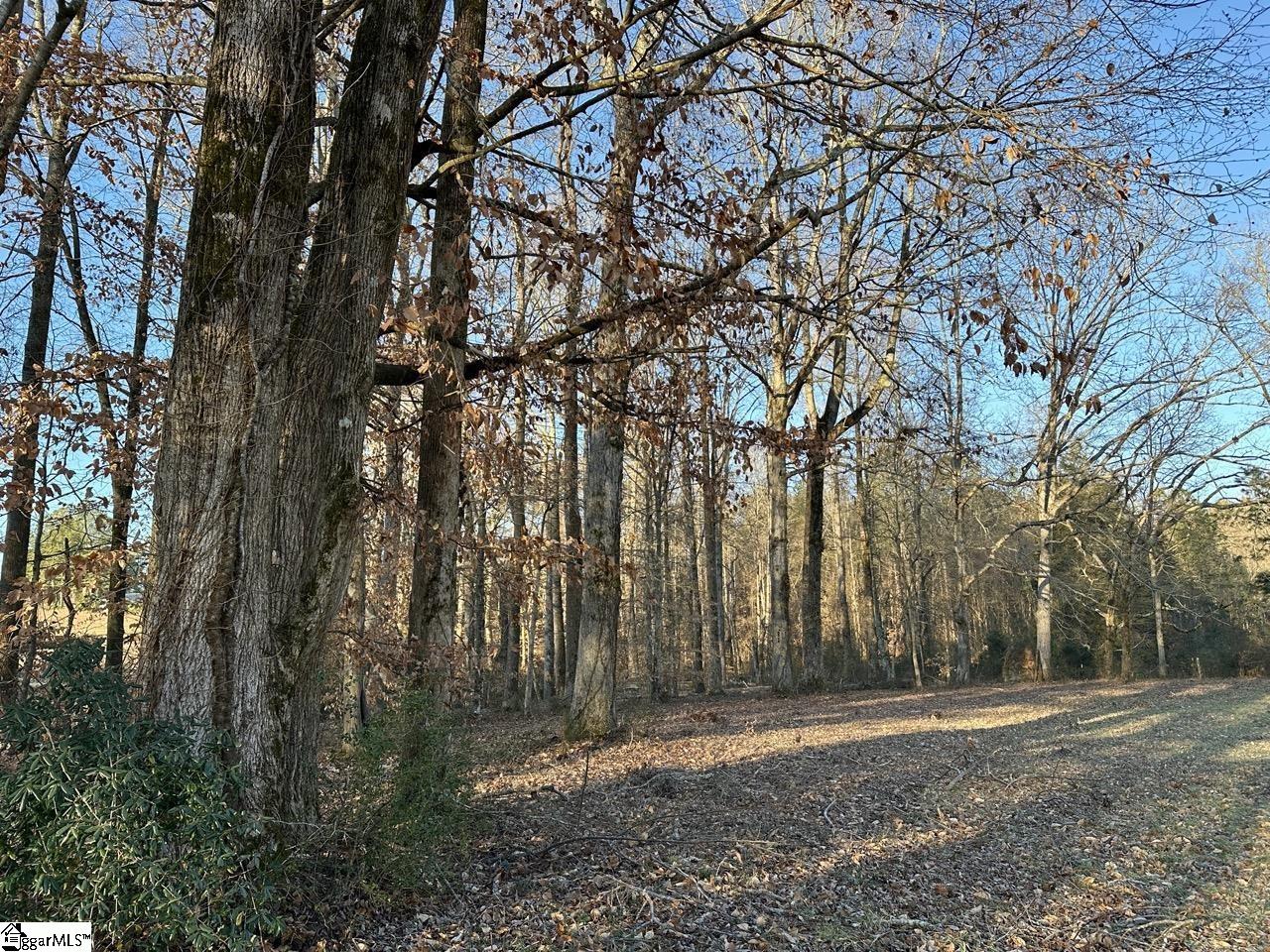 2539 Blue Ridge, Walhalla, South Carolina image 34