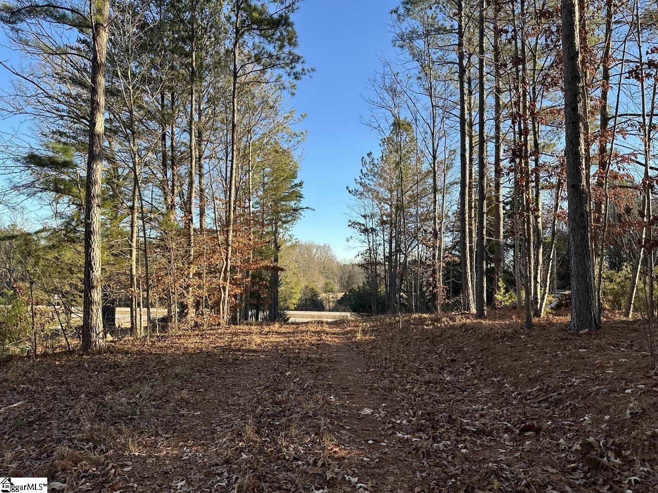 2539 Blue Ridge, Walhalla, South Carolina image 41