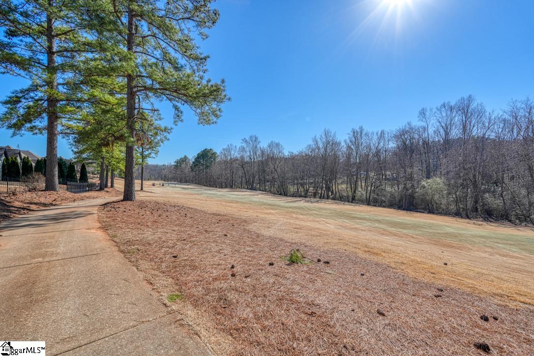 320 S Woodfin Ridge, Inman, South Carolina image 39