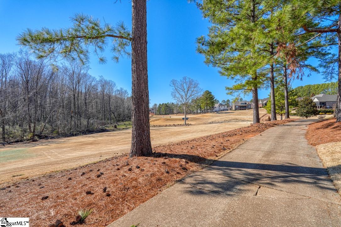320 S Woodfin Ridge, Inman, South Carolina image 40
