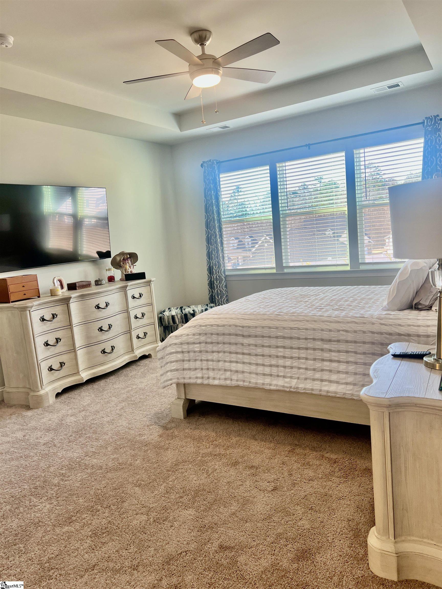 917 Maple Grove, Greer, South Carolina image 15