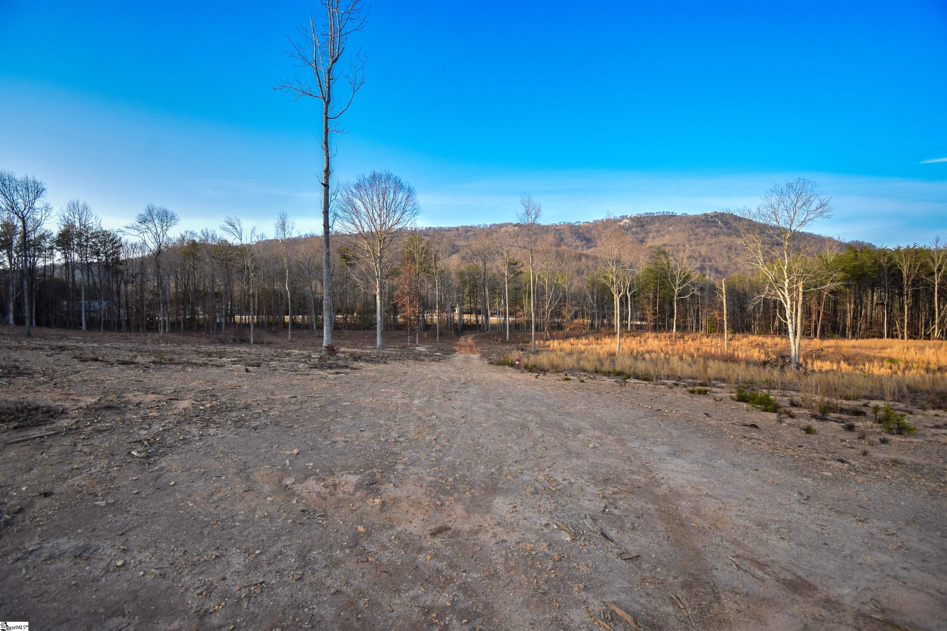 2043 Highway 11 Landrum, SC 29356